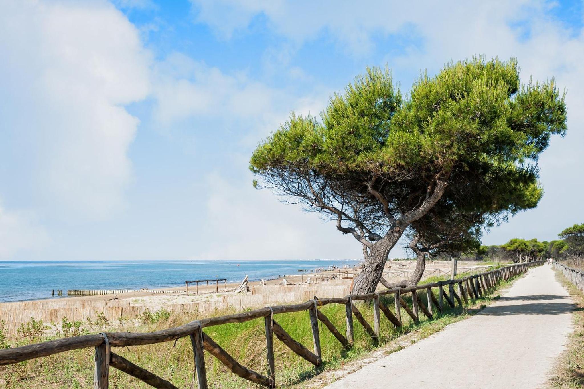 Great flat in Bibione-Beahost