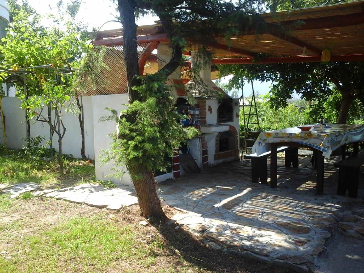 Photo 42