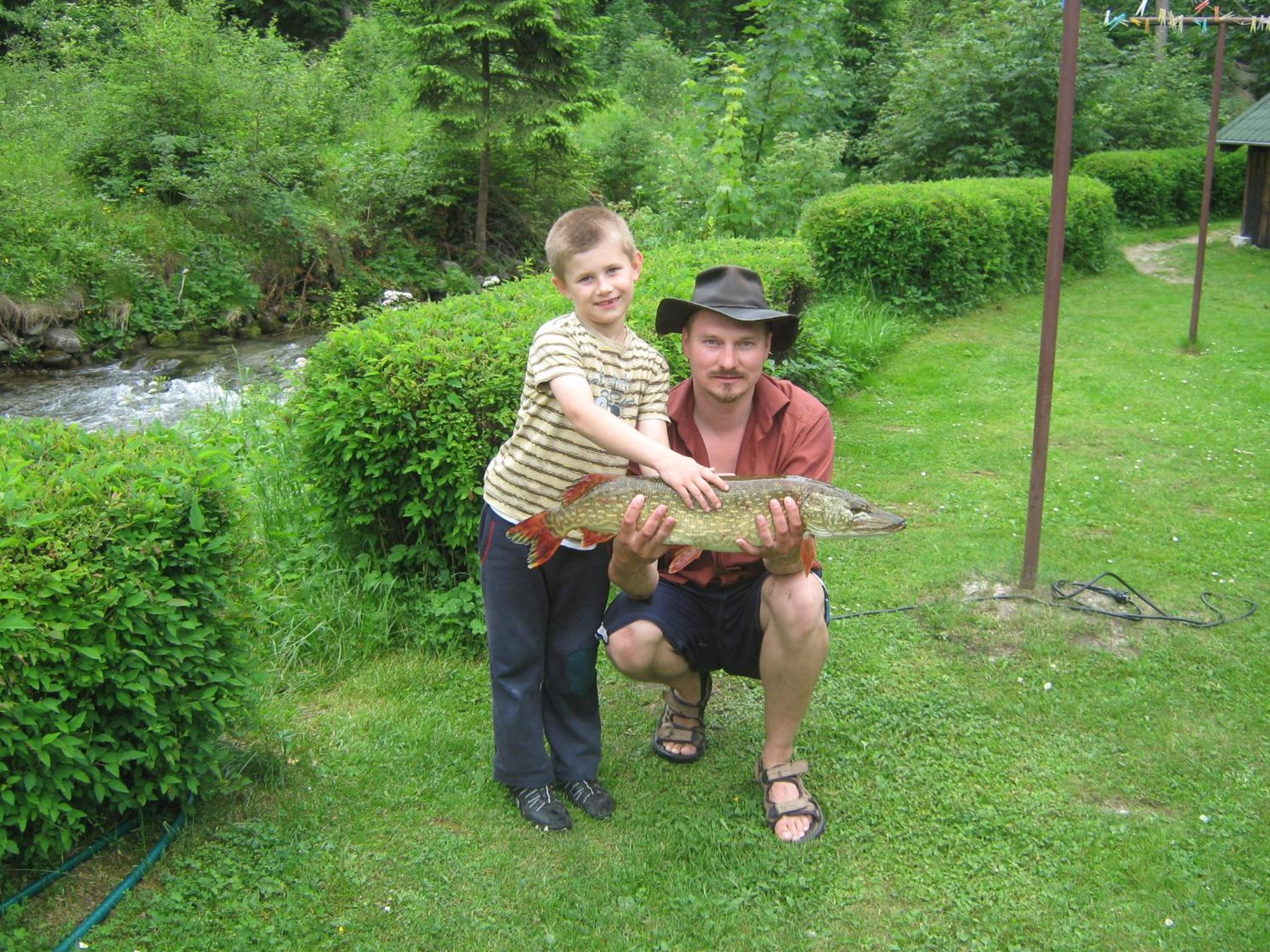 Photo 40