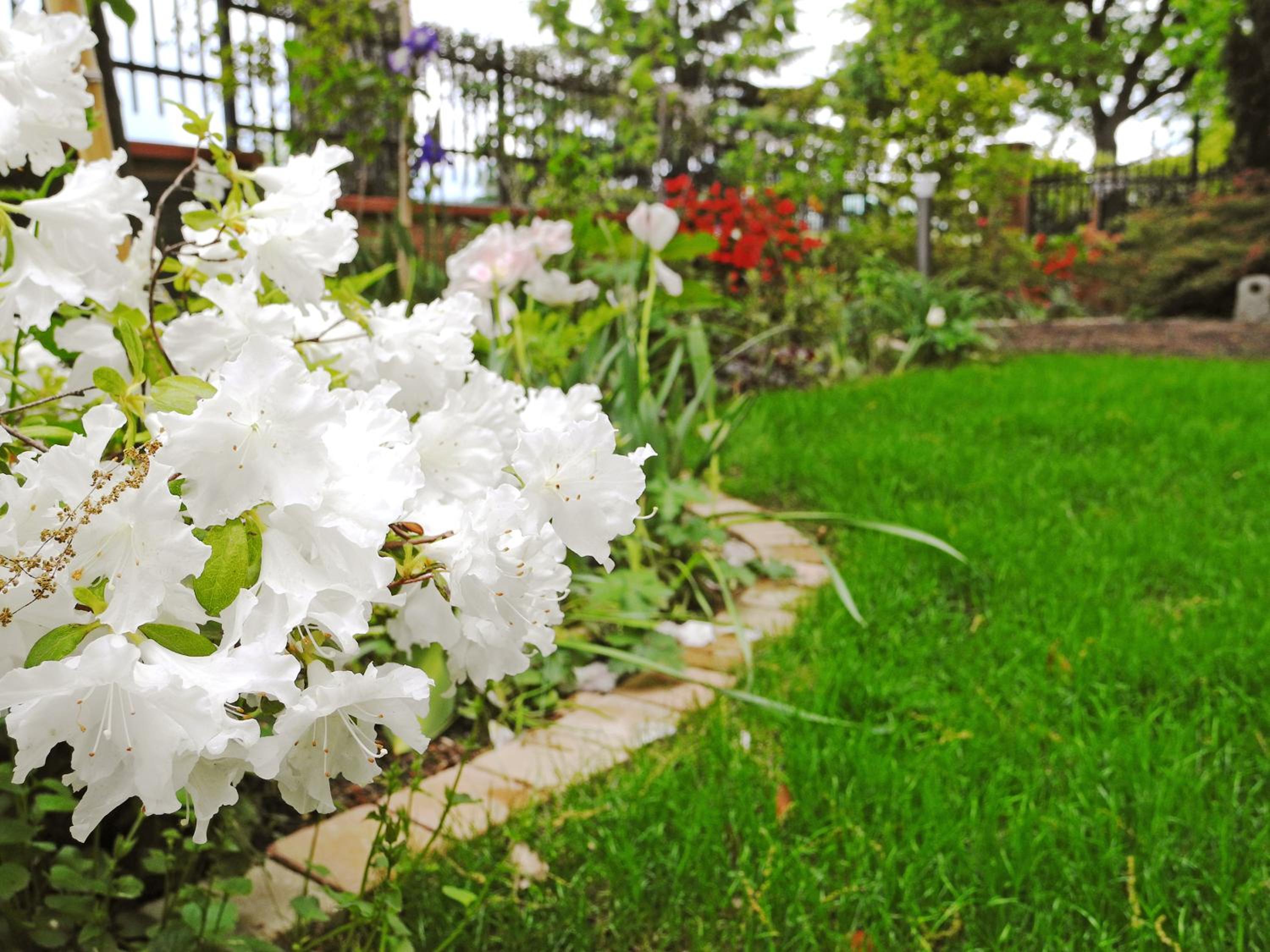 B&B Dimora Morelli