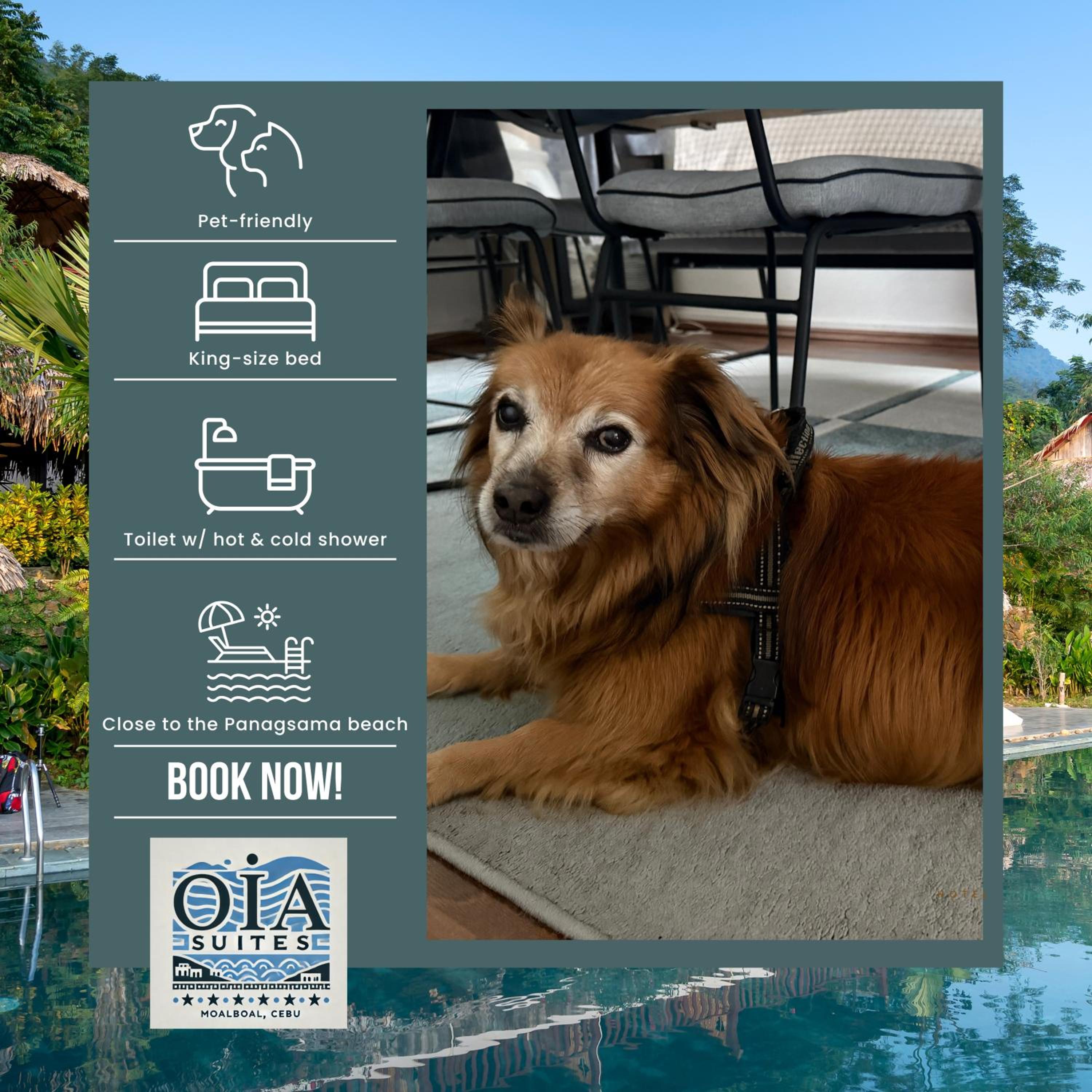 Oia