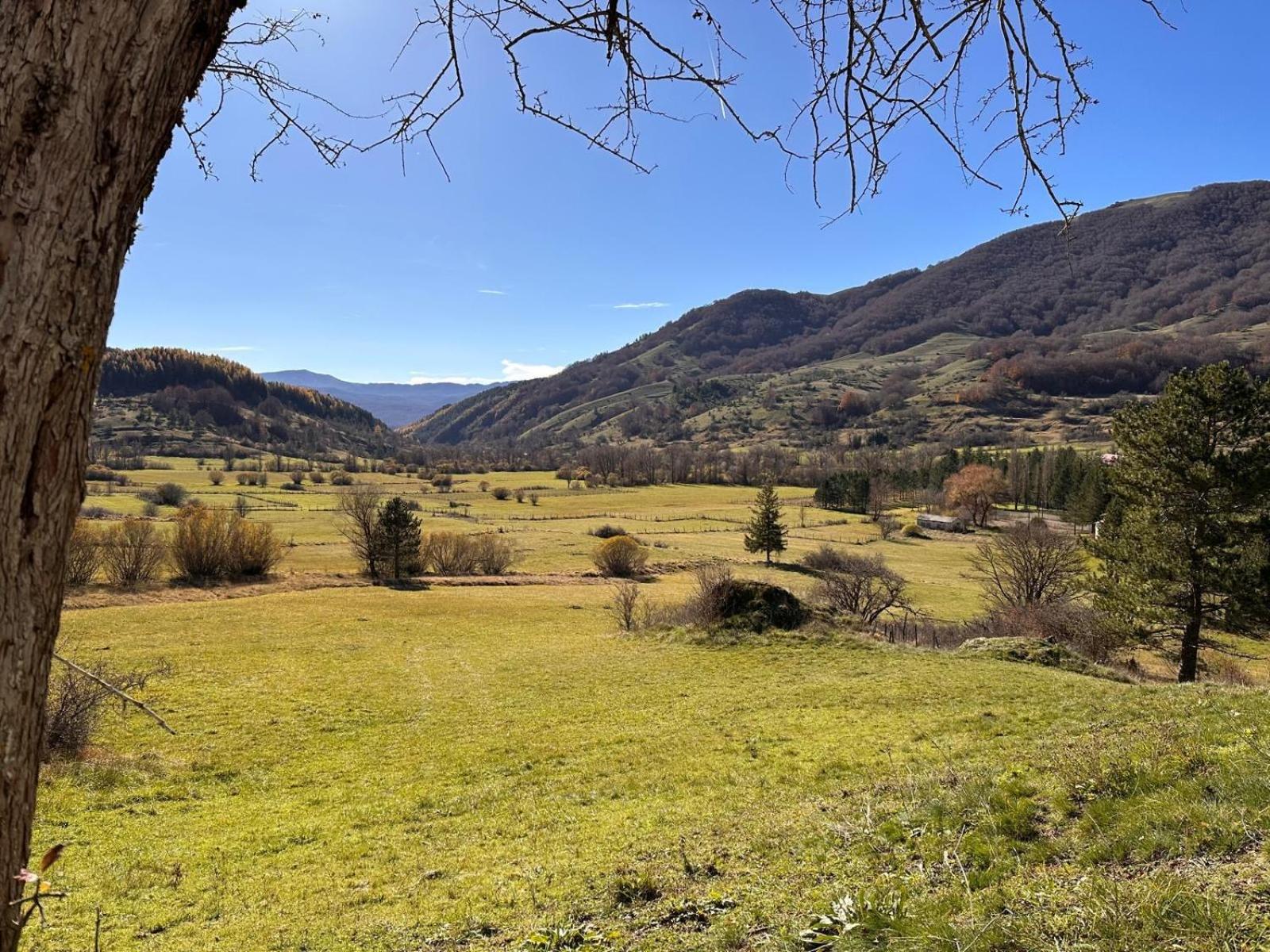 Villa Di Micco