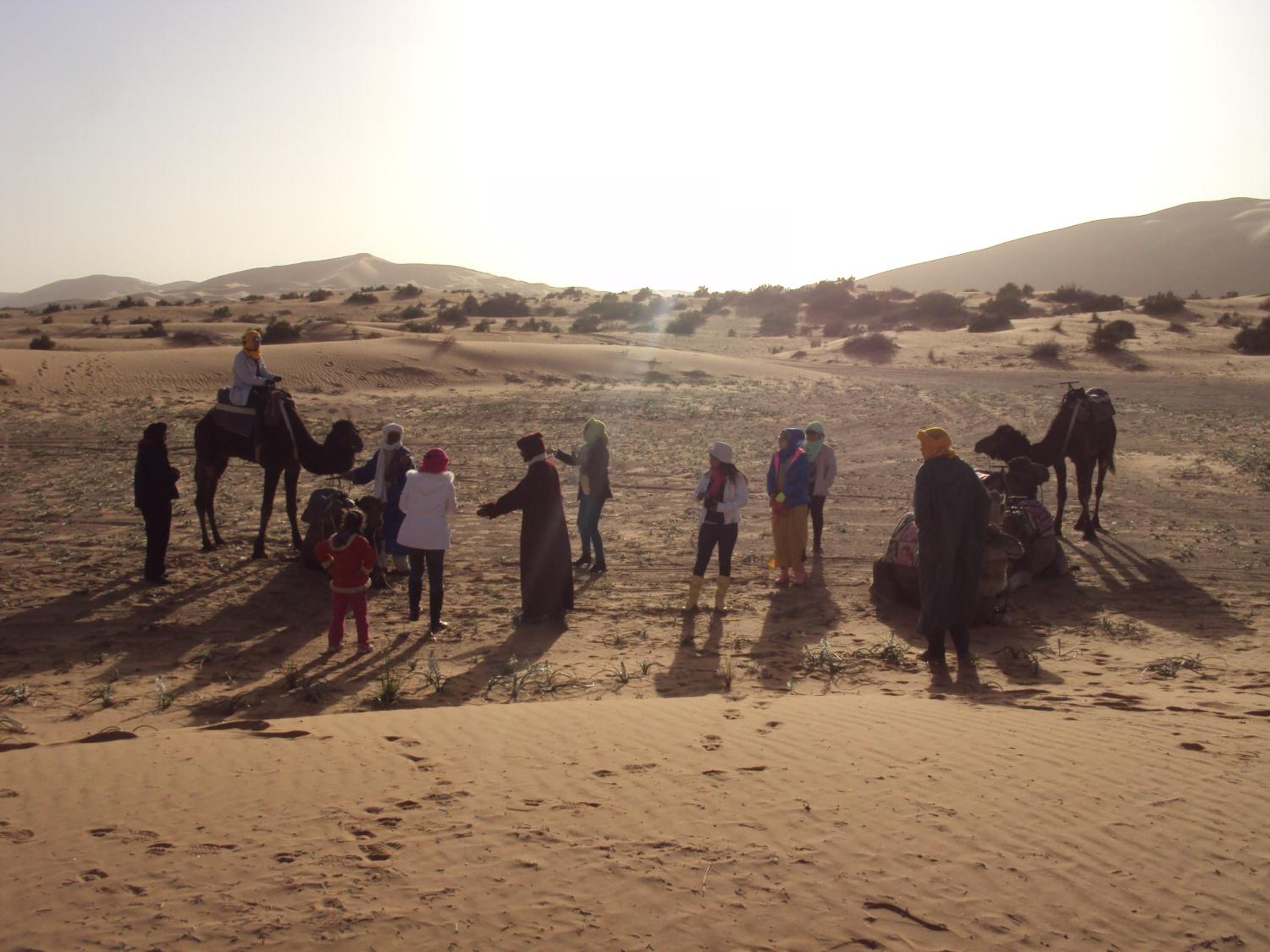 Night Desert Camp view 4