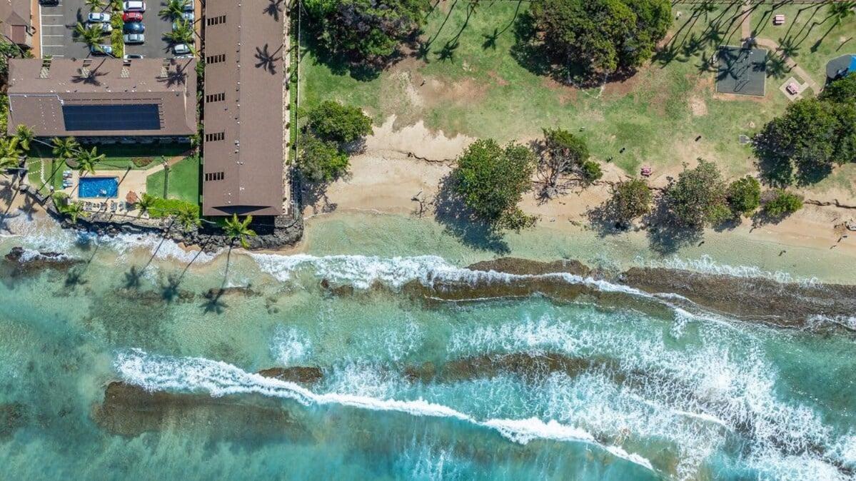 Hale Kai 110 · HKI 110 1BD Condo w Oceanviews and Oceanfront Poo