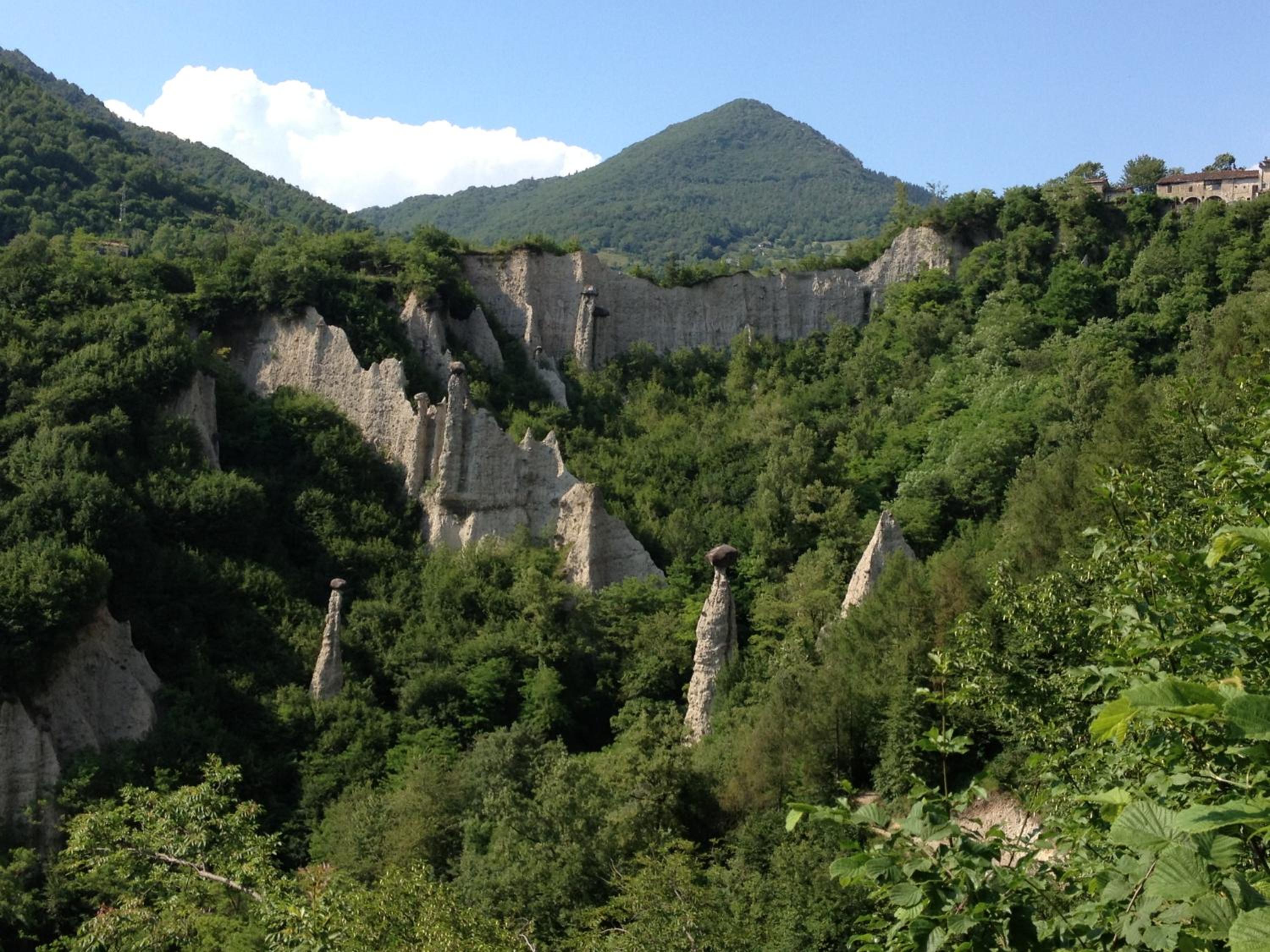 Photo 40