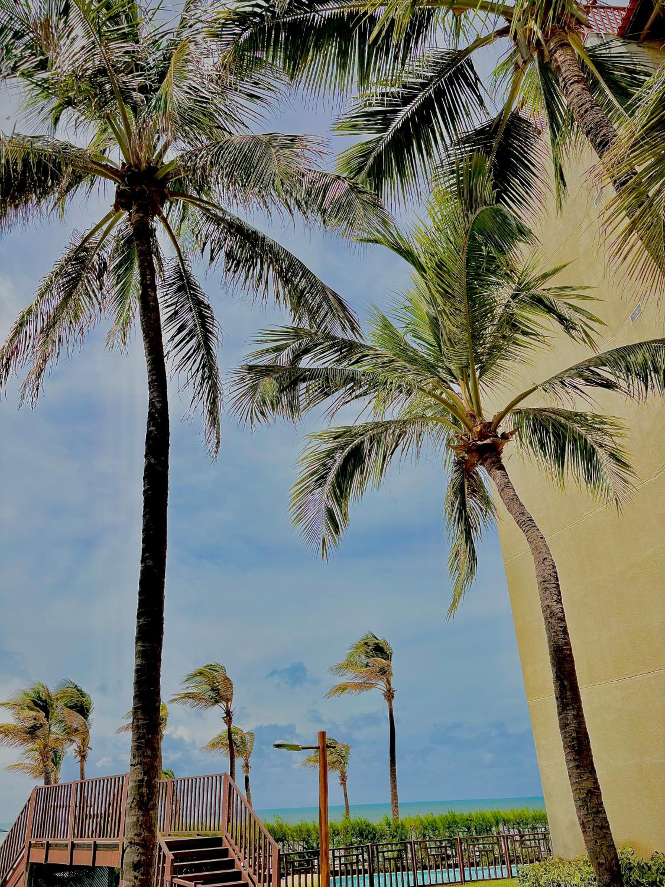 Apartamento Particular à Beira Mar em Resort Beach Park