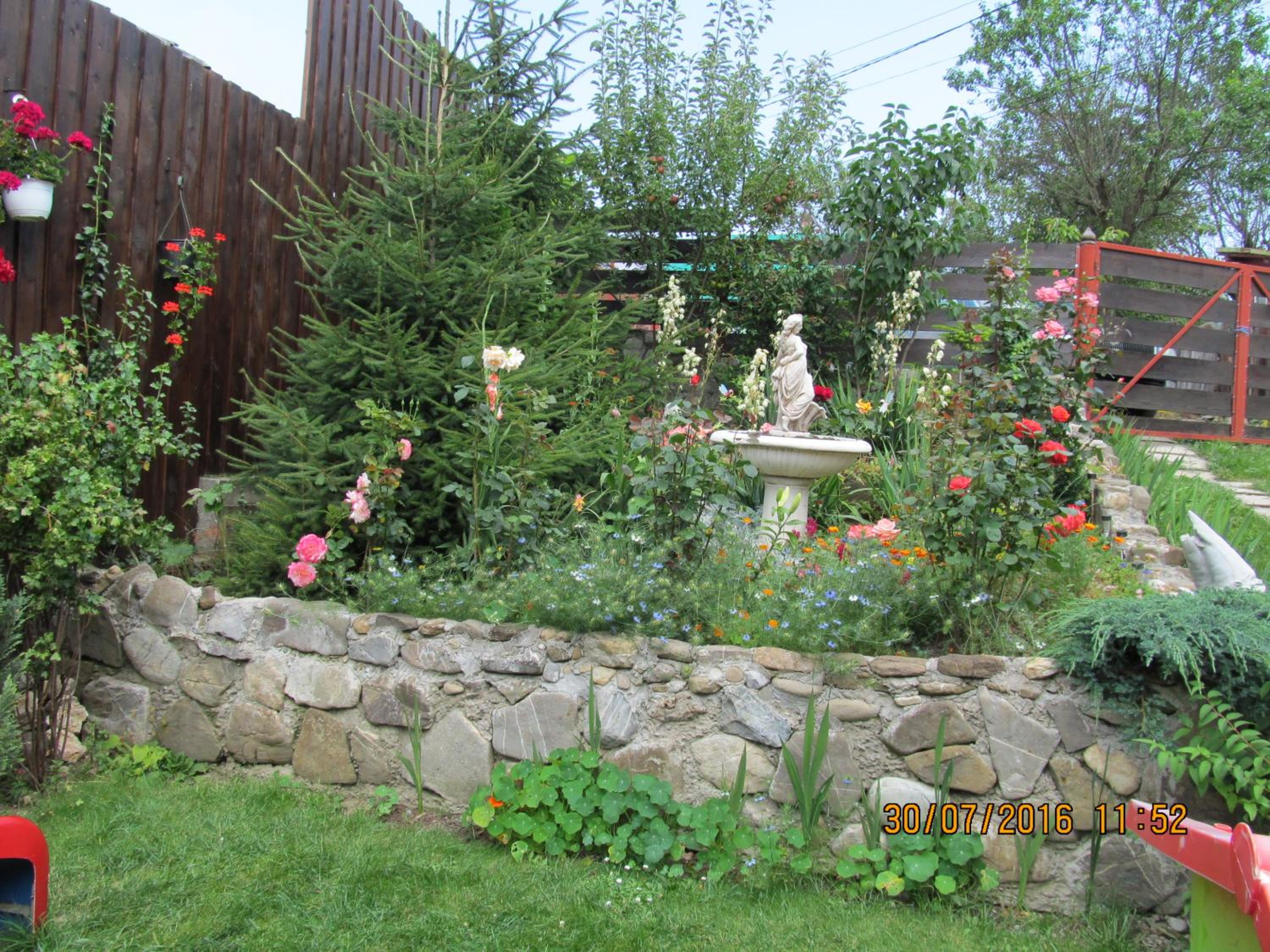 Photo 35