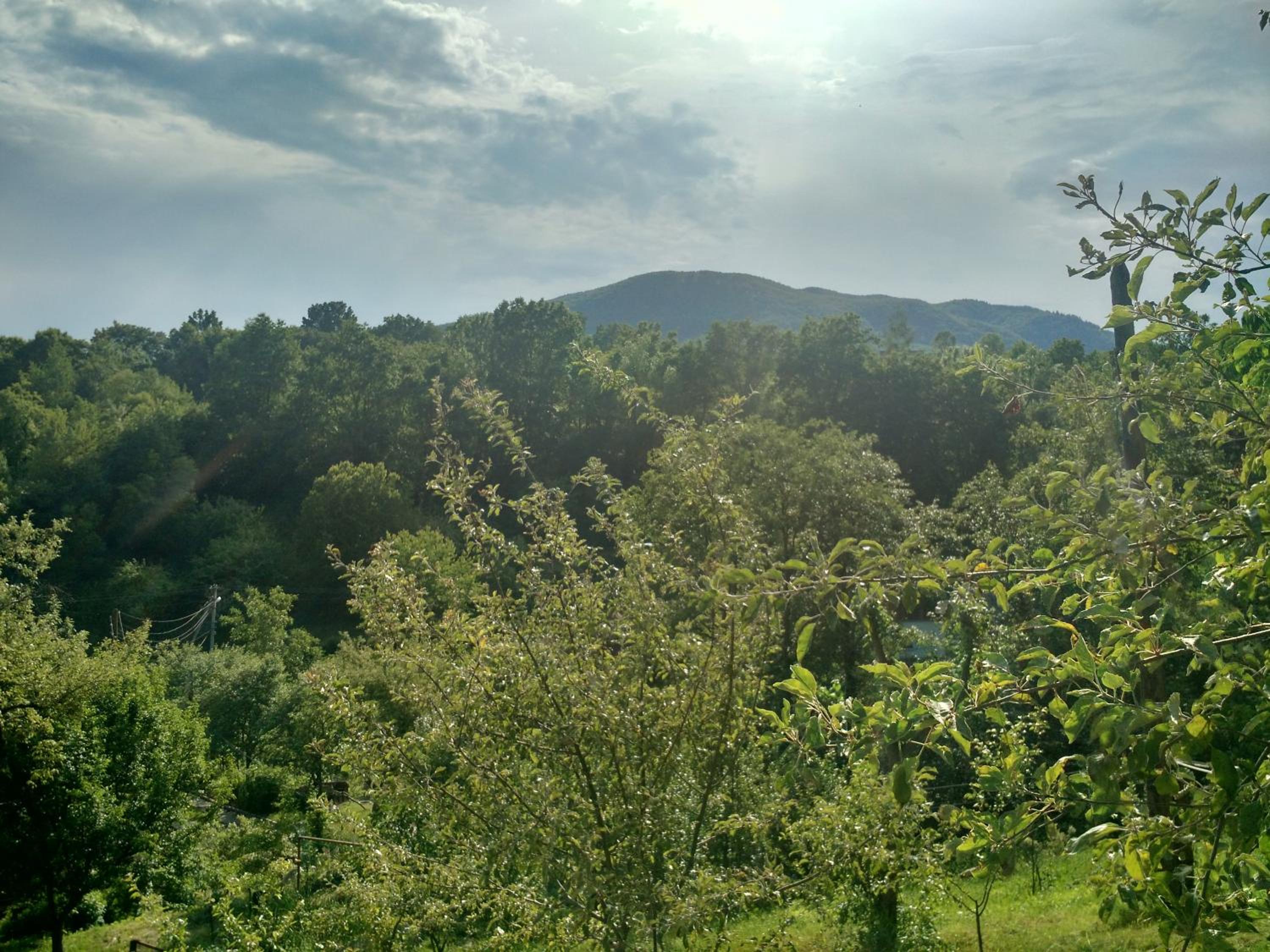 Country House Kosiv, photo 54