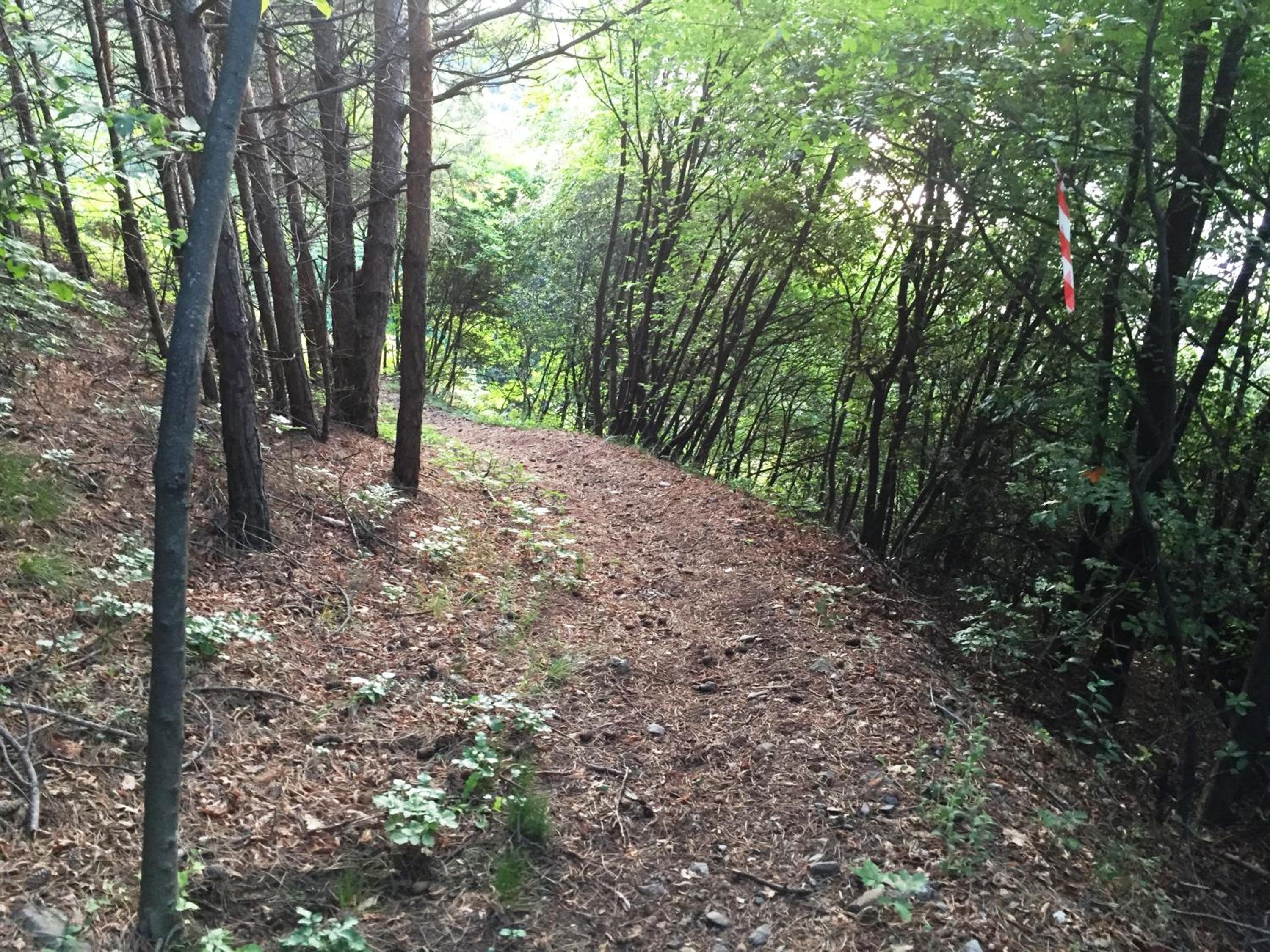 Photo 47