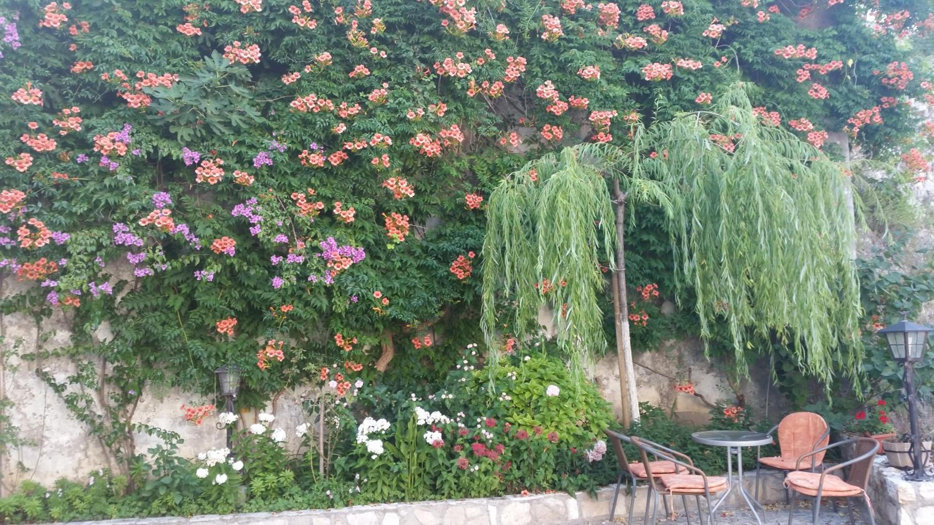 Photo 35