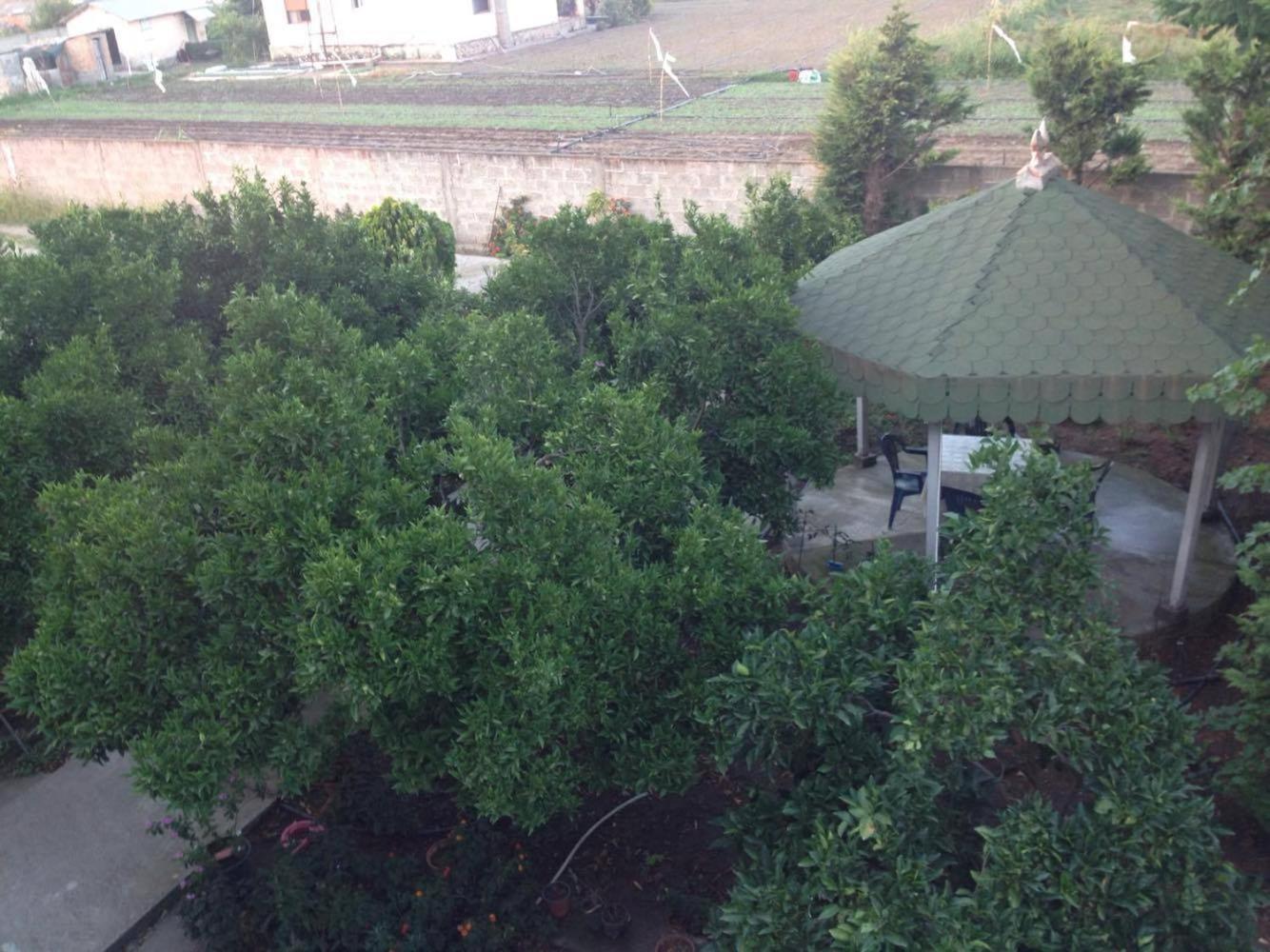 Guesthouse Anila