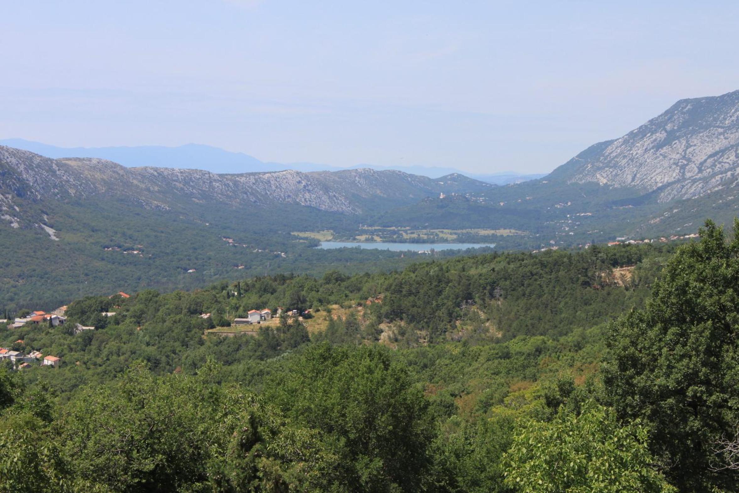 Photo 44