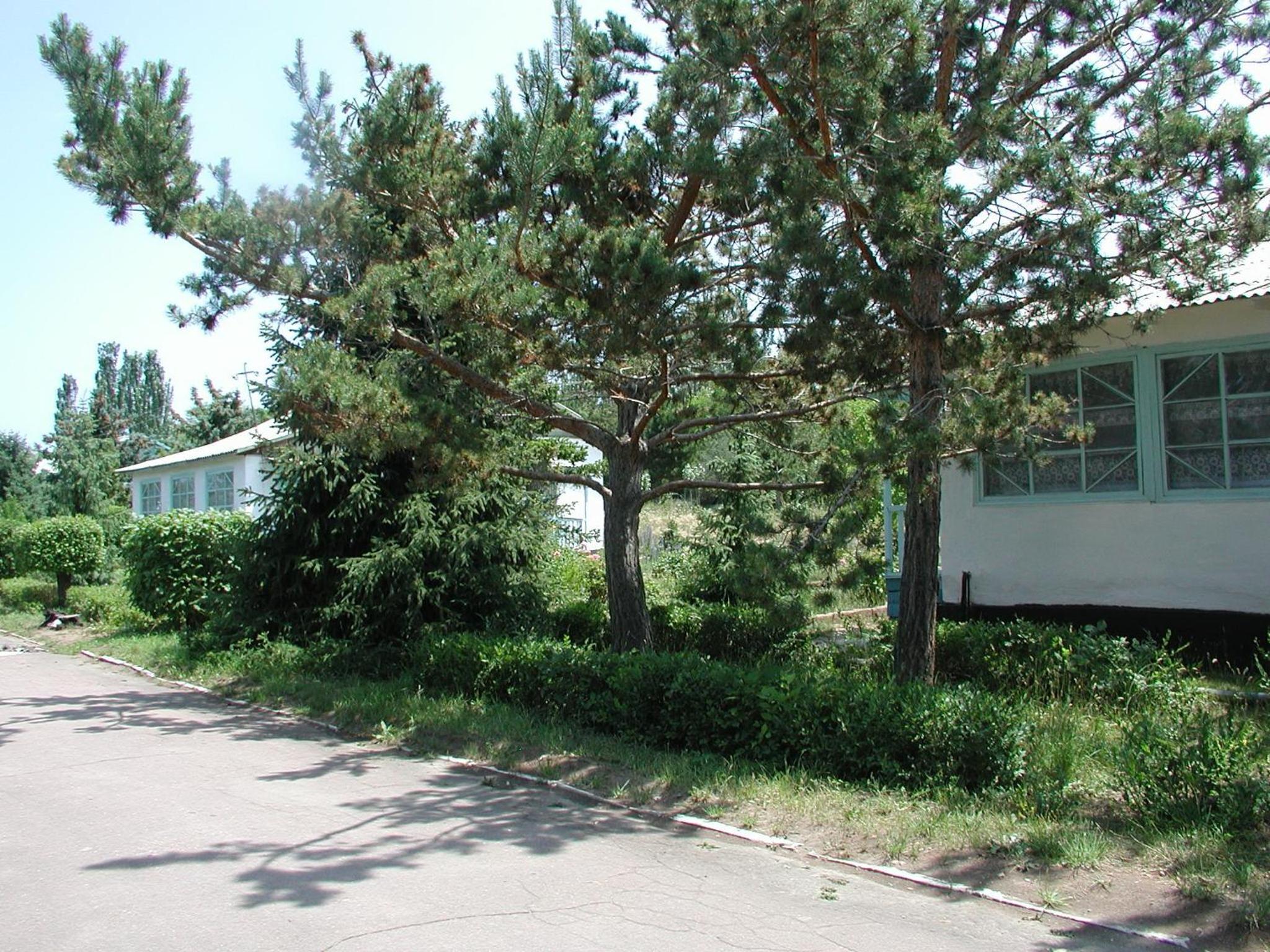 Legenda Health Resort