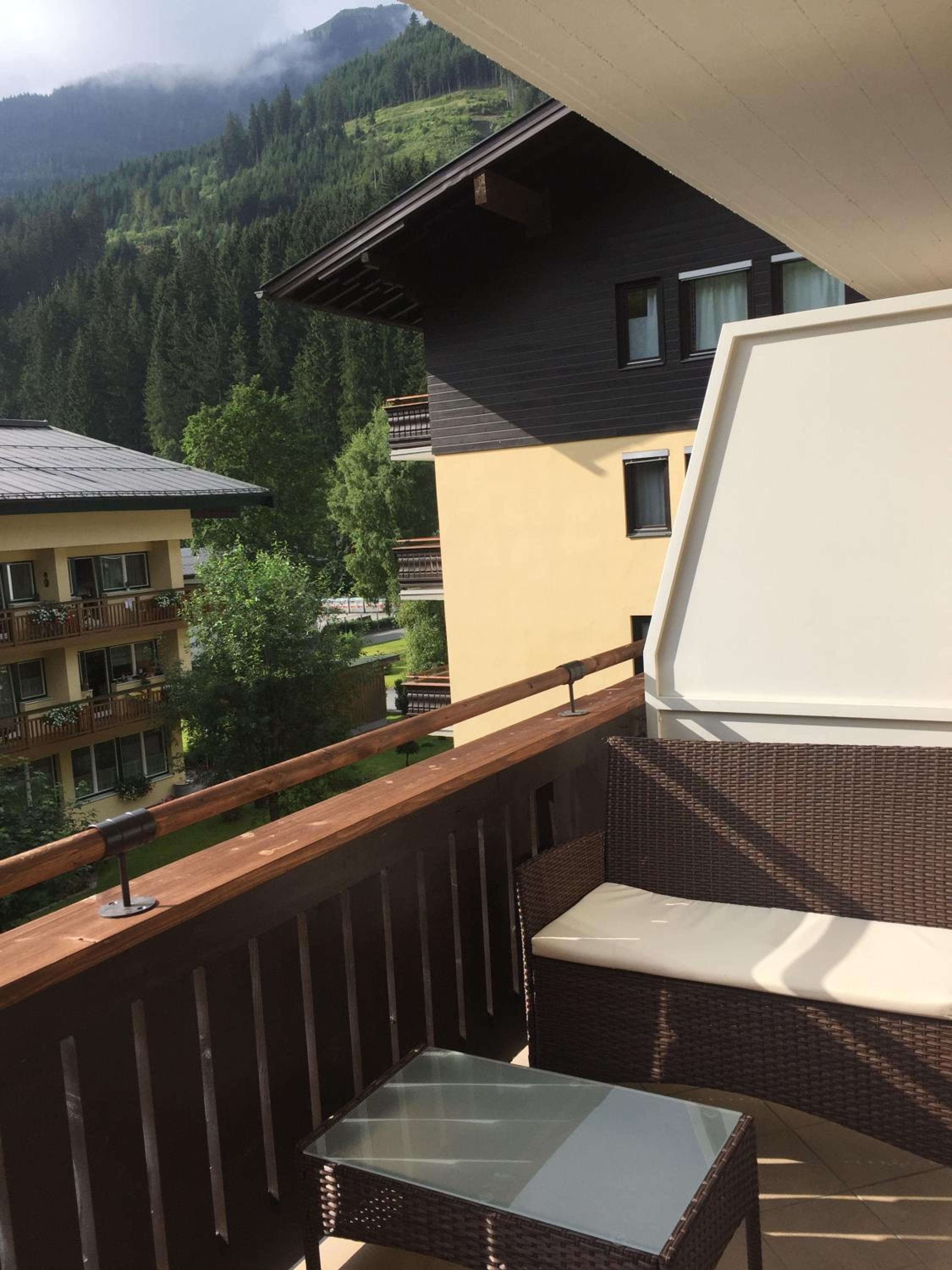 Bear Hutte Saalbach near Billa