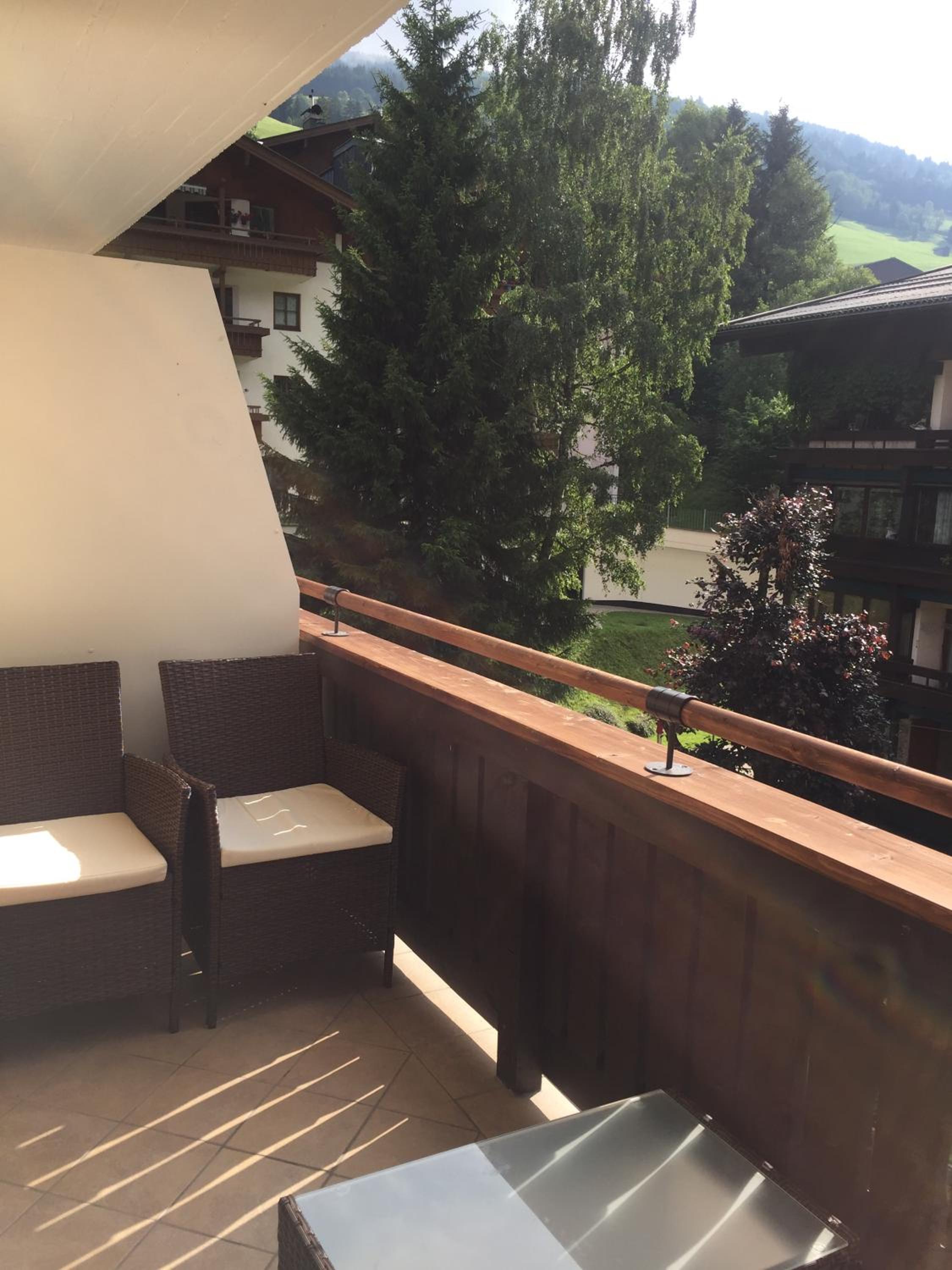 Bear Hutte Saalbach near Billa