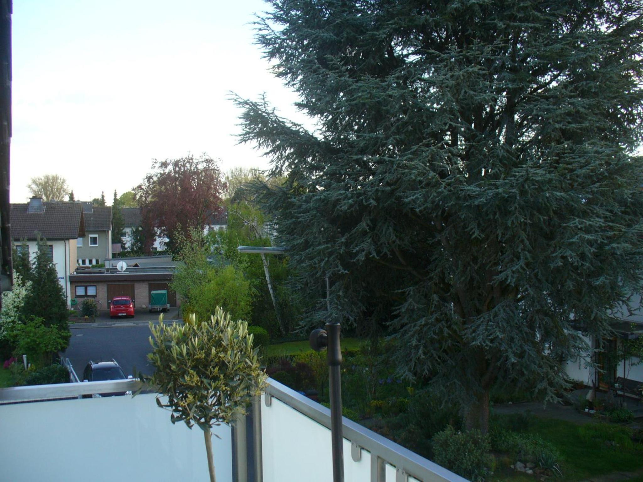 Ferienwohnung Rheinaue