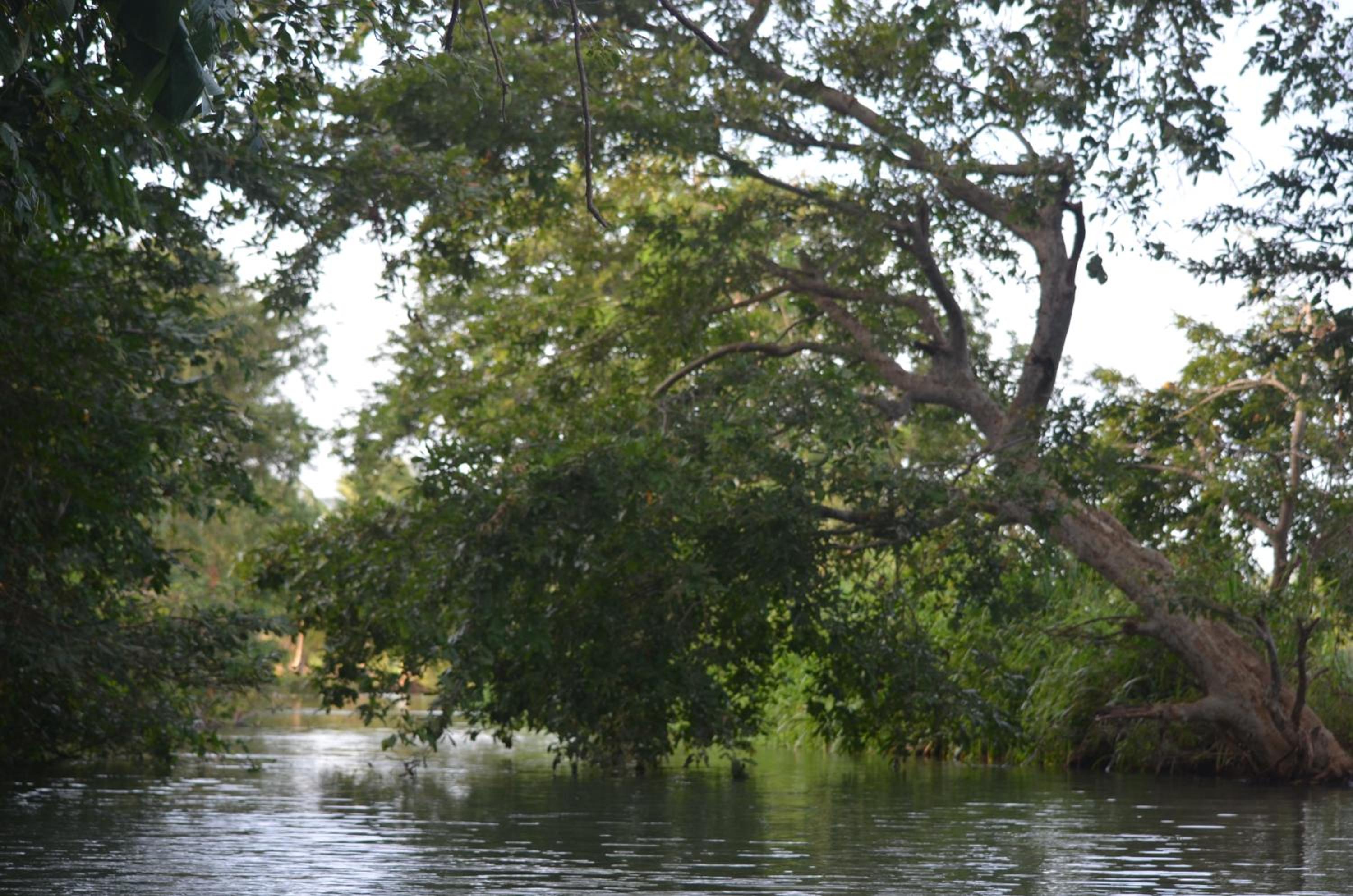 Makulu Safari Camping