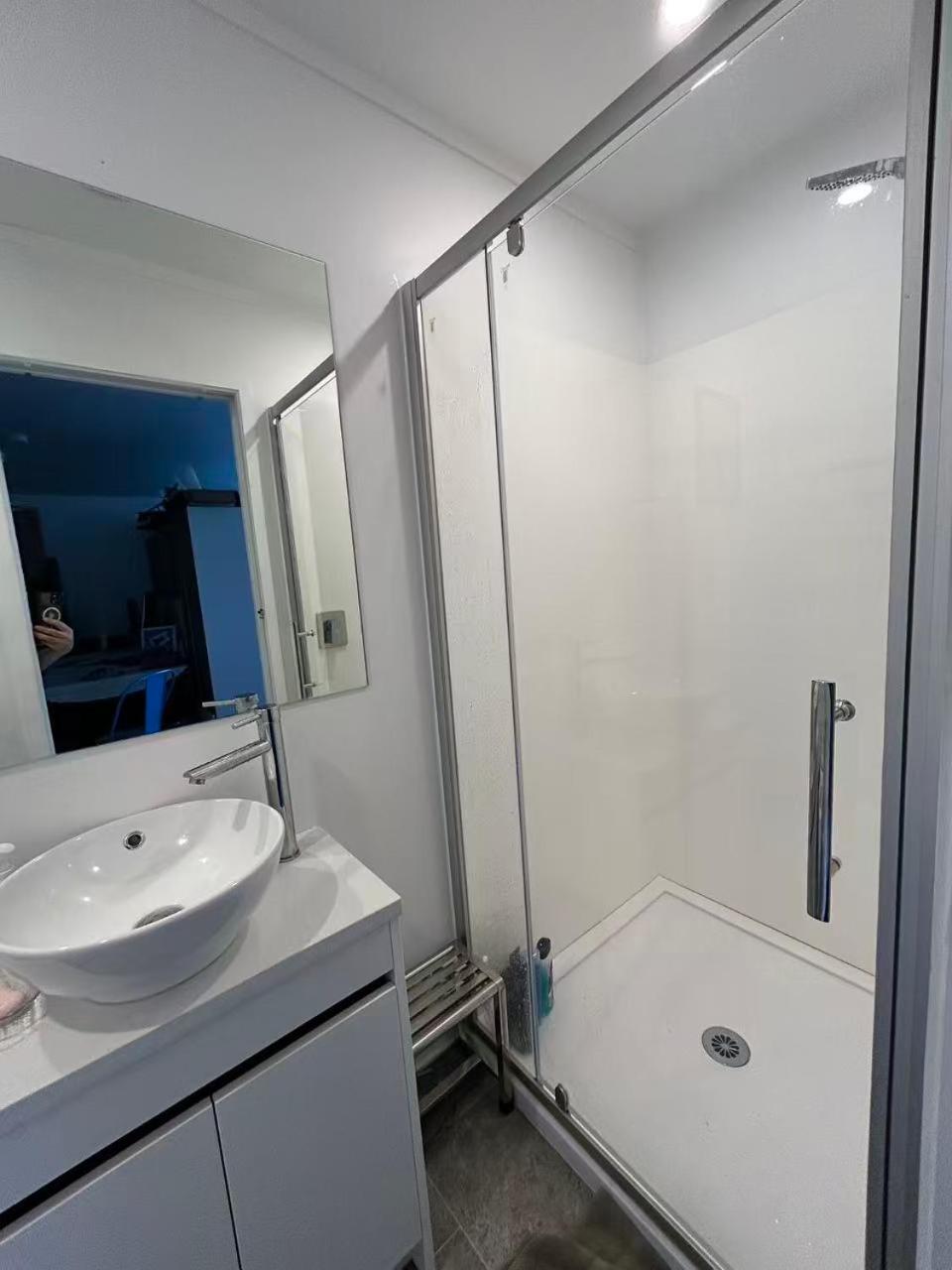 13 Bedlington