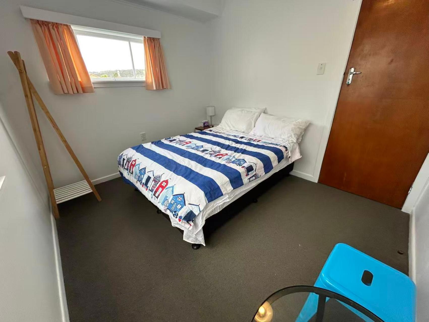 13 Bedlington