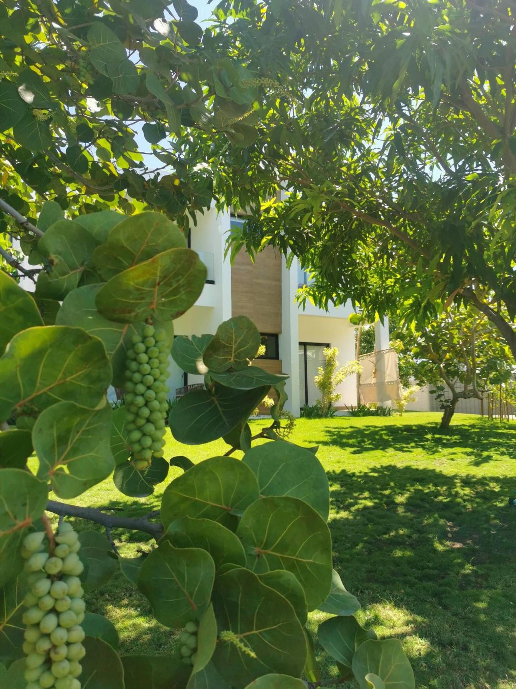 Bayshore 76 Beachfront Villa Palmar de ocoa