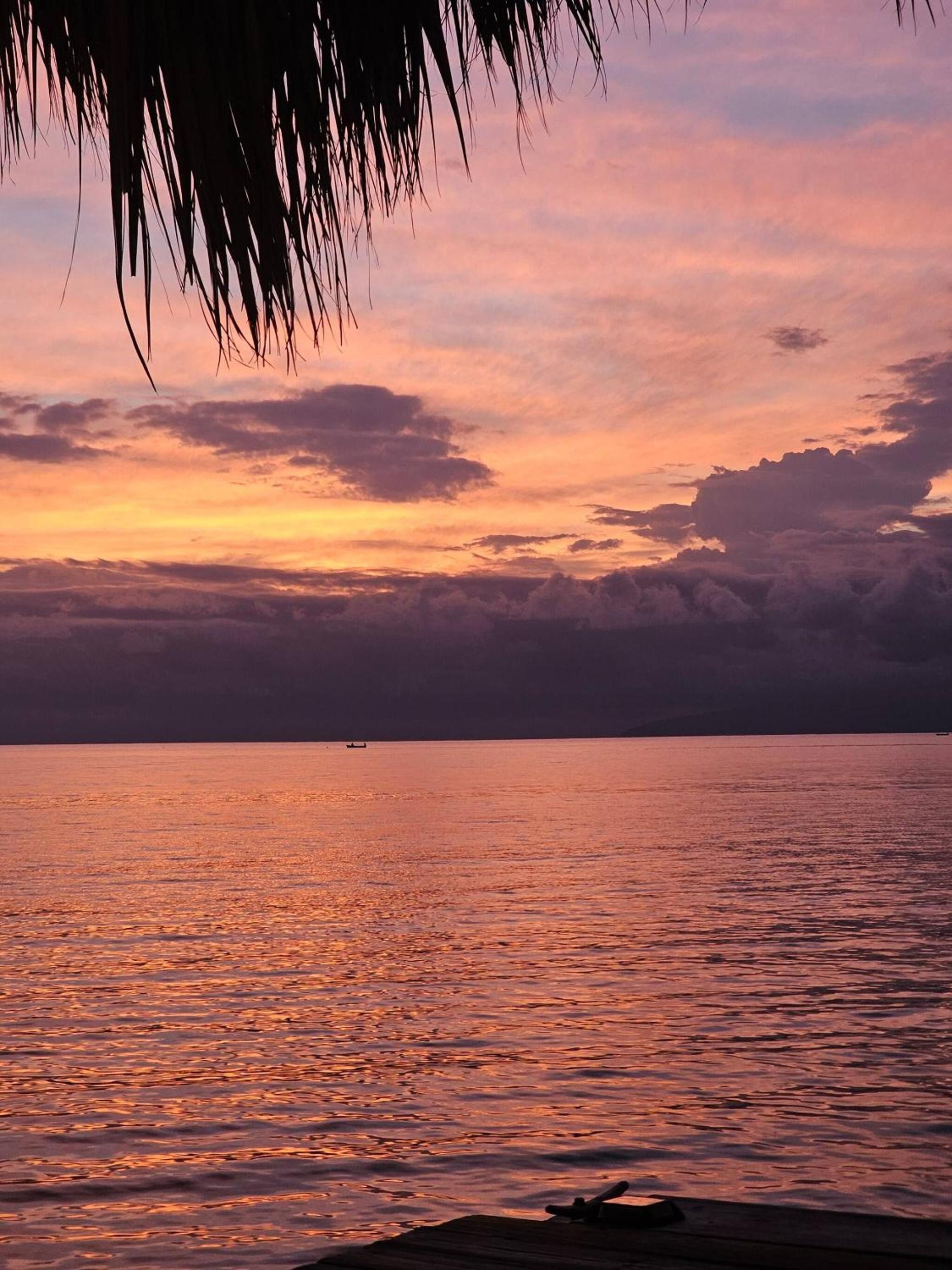Bayshore 76 Beachfront Villa Palmar de ocoa