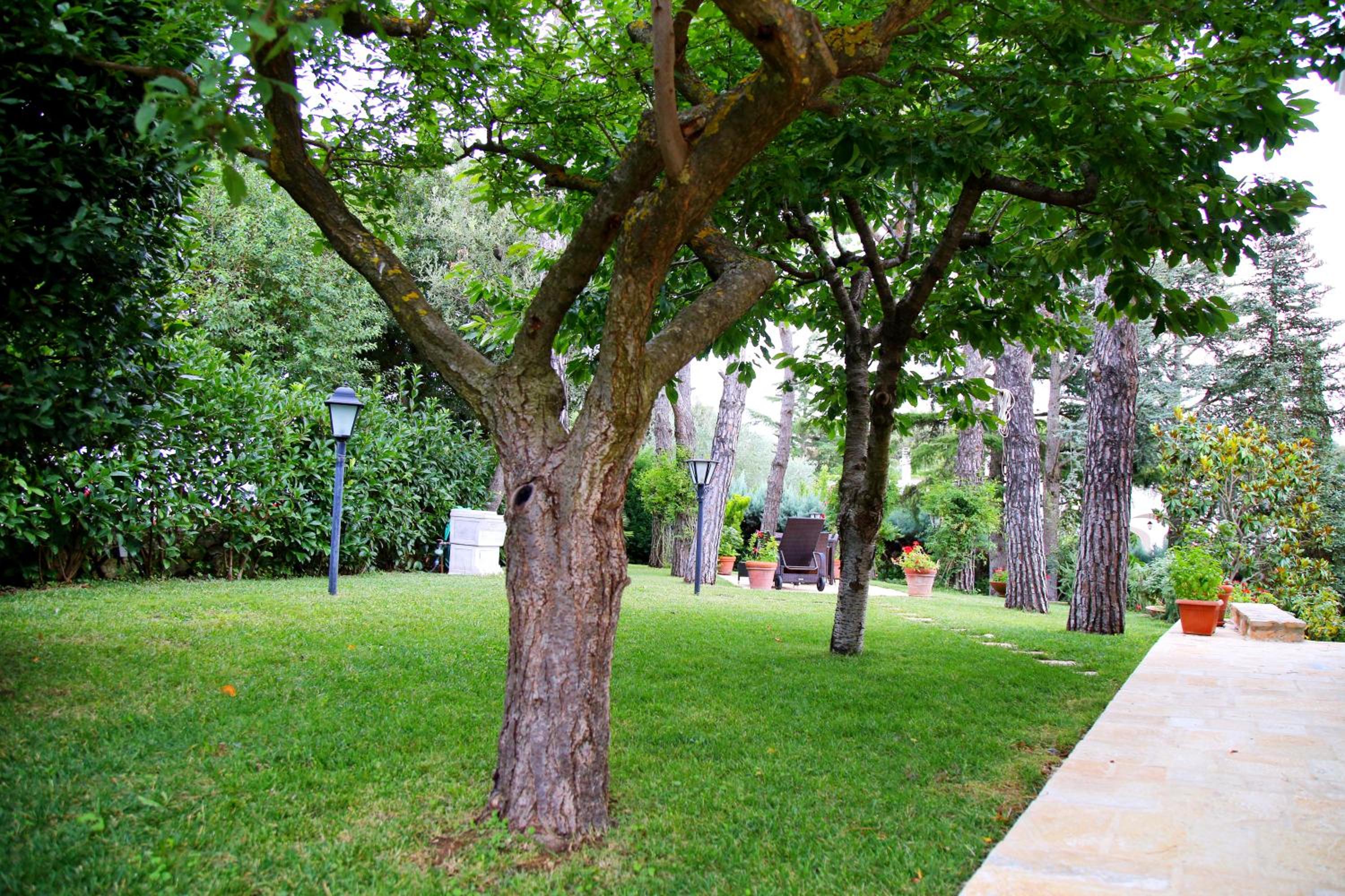 Villa Angelina