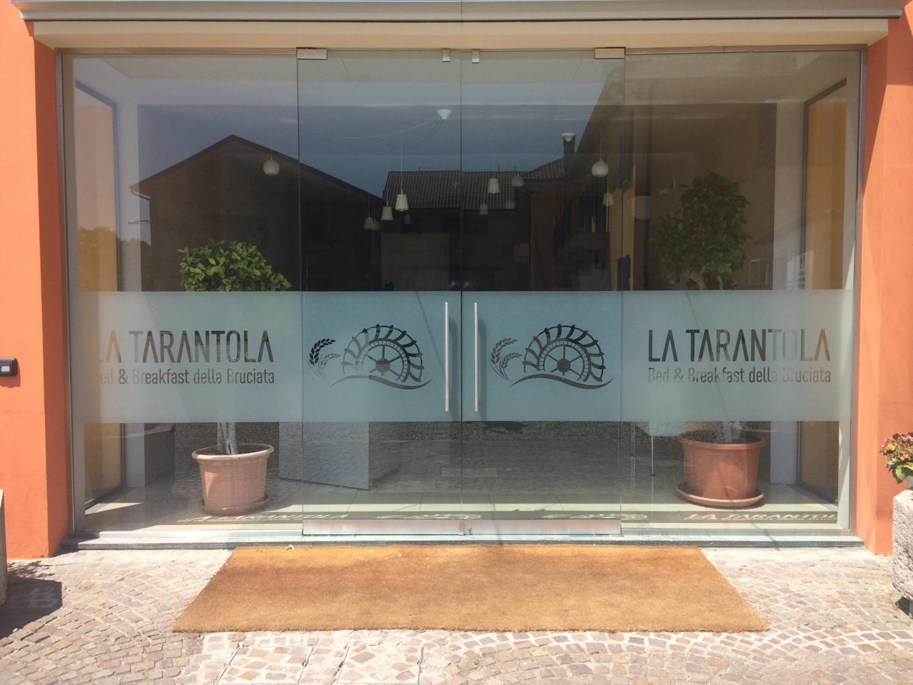La Tarantola view 2