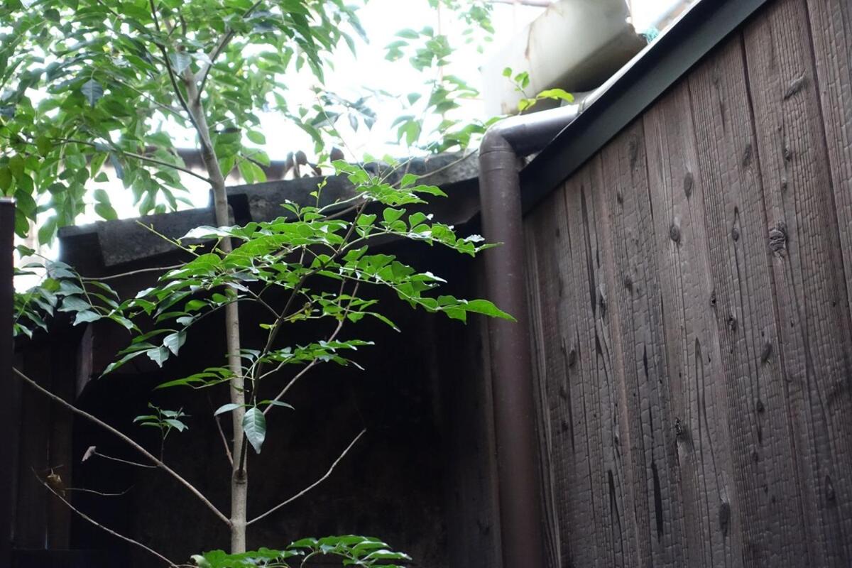 Spring House 飛鳥魚の家 冷泉汀