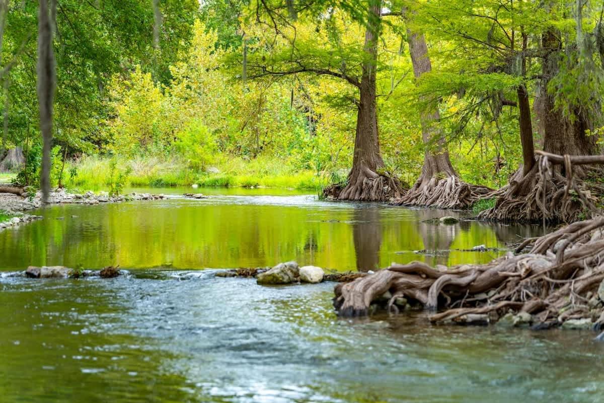 Life is Gruene-Riverfront Luxury-1Mi To GrueneHall