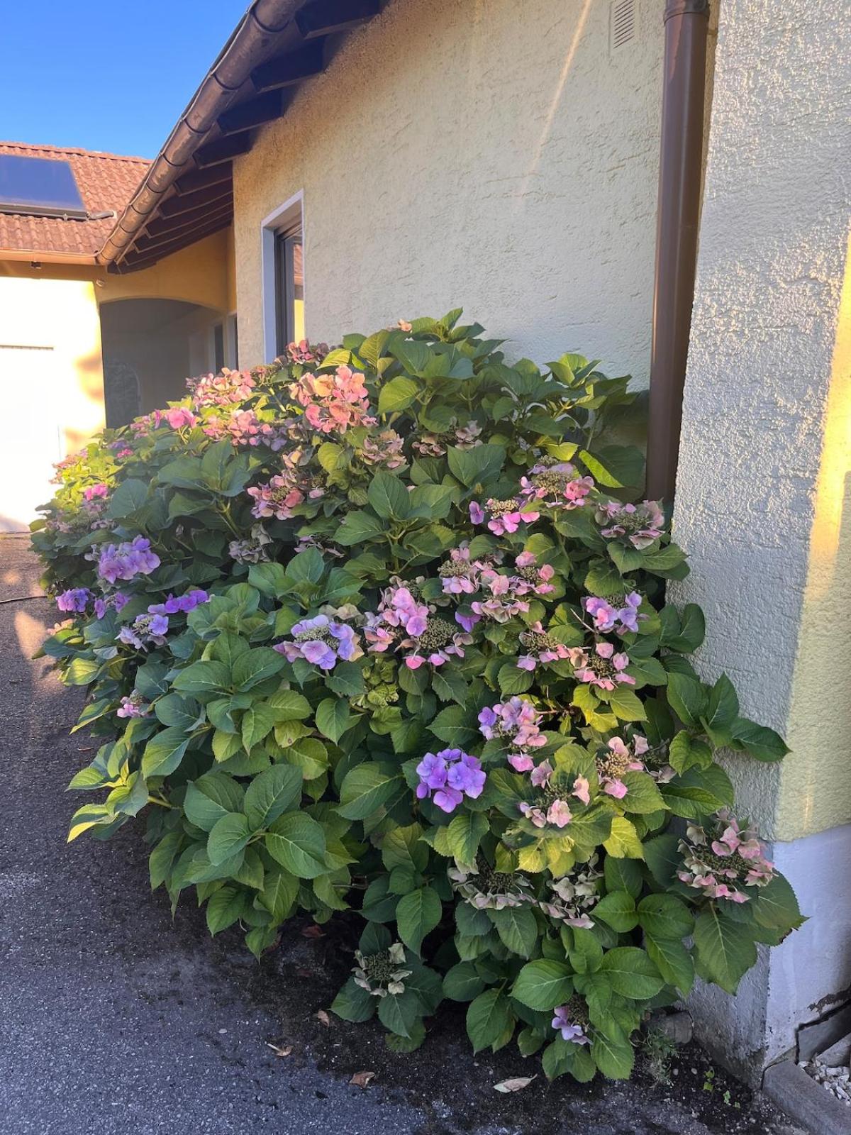 Wunderschöne, große Gartenwohnung mit 3 Schlafzimmern Nähe Kaufbeuren