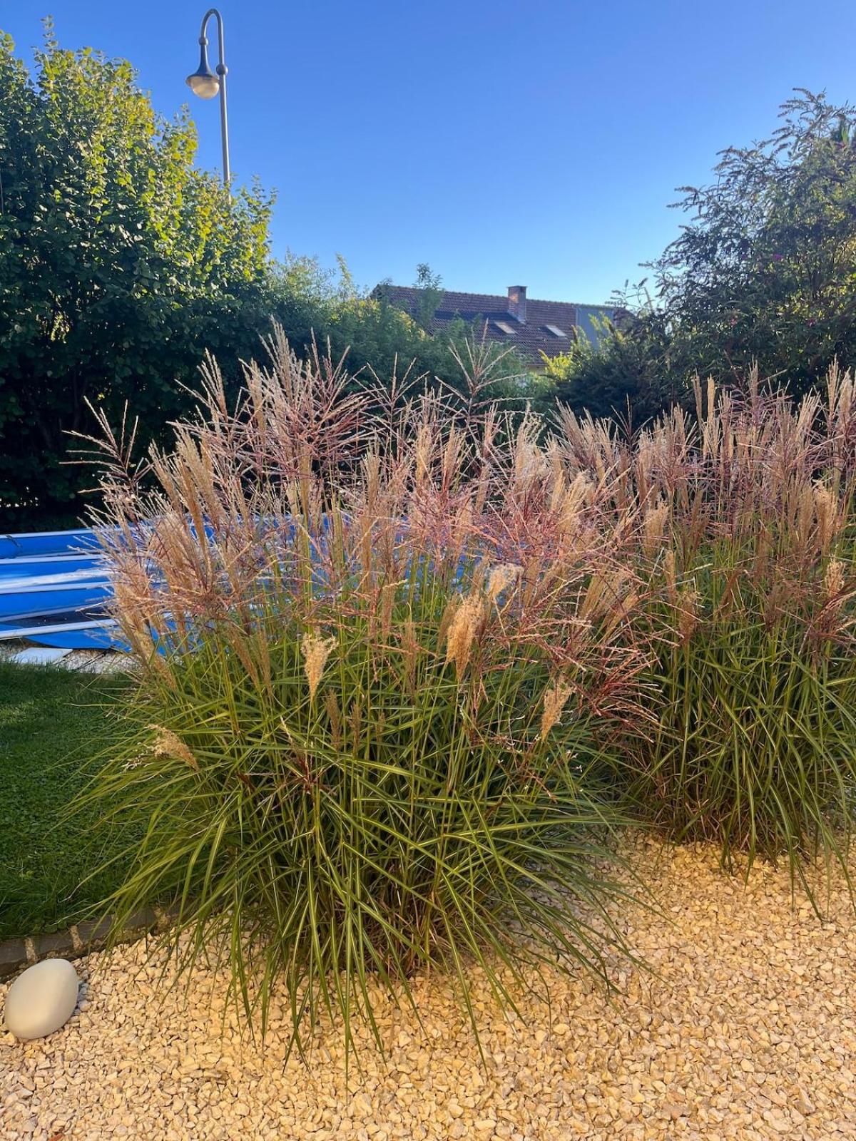 Wunderschöne, große Gartenwohnung mit 3 Schlafzimmern Nähe Kaufbeuren