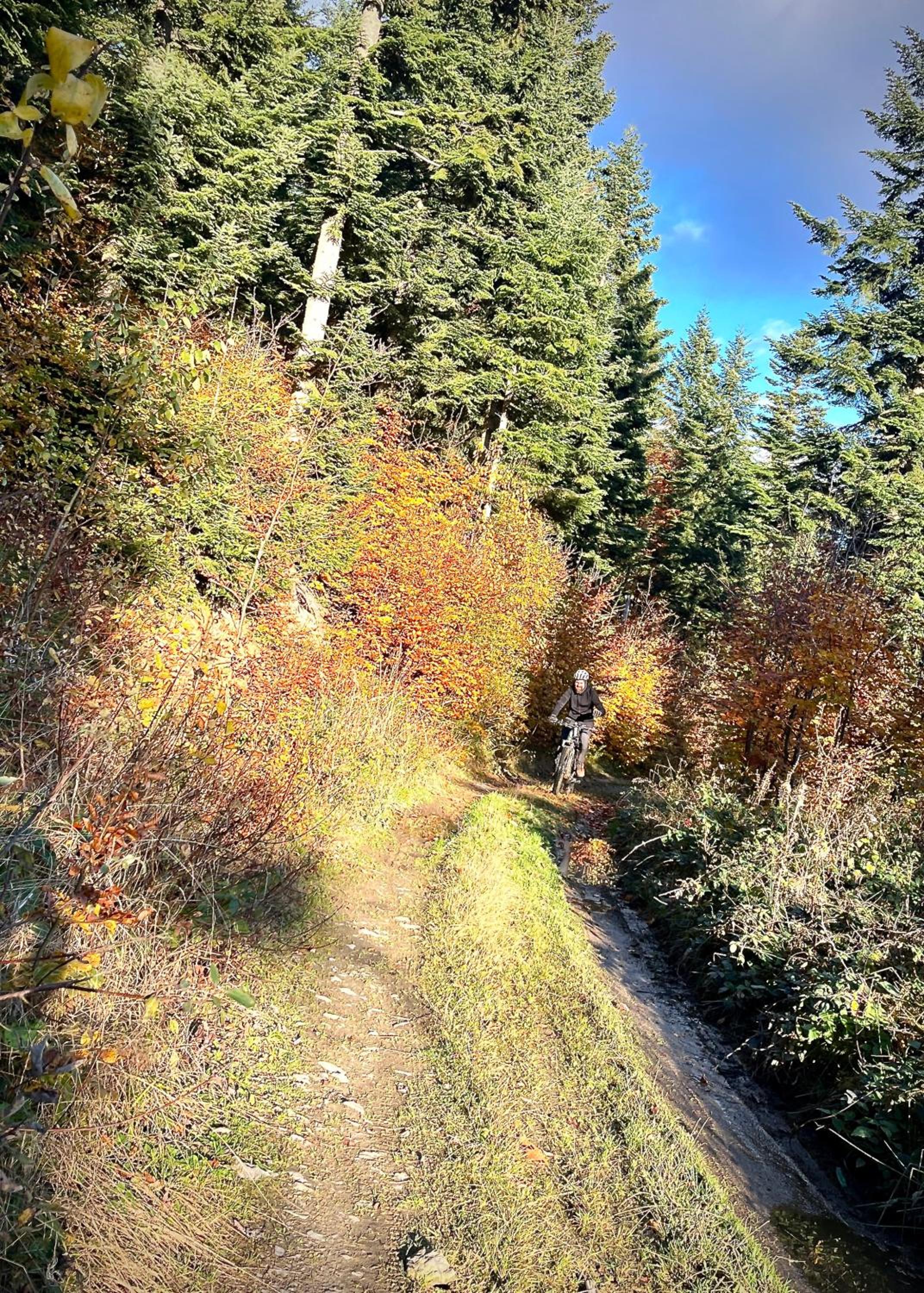 Photo 3