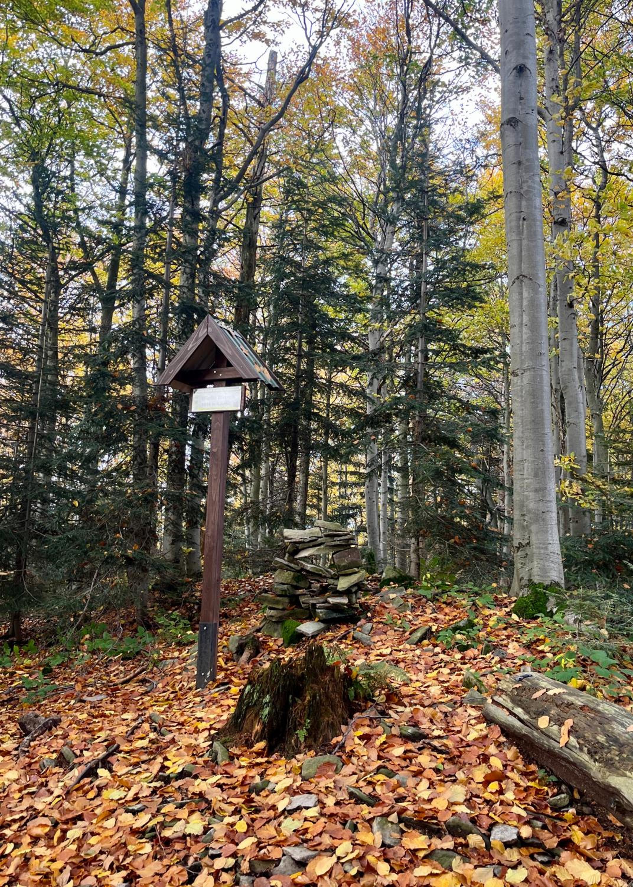 Photo 48