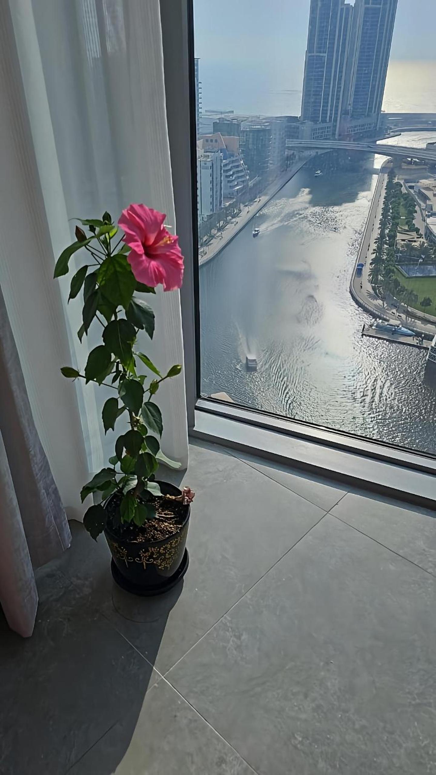 Deluxe Marina View 2BR - Stella Maris Retreat