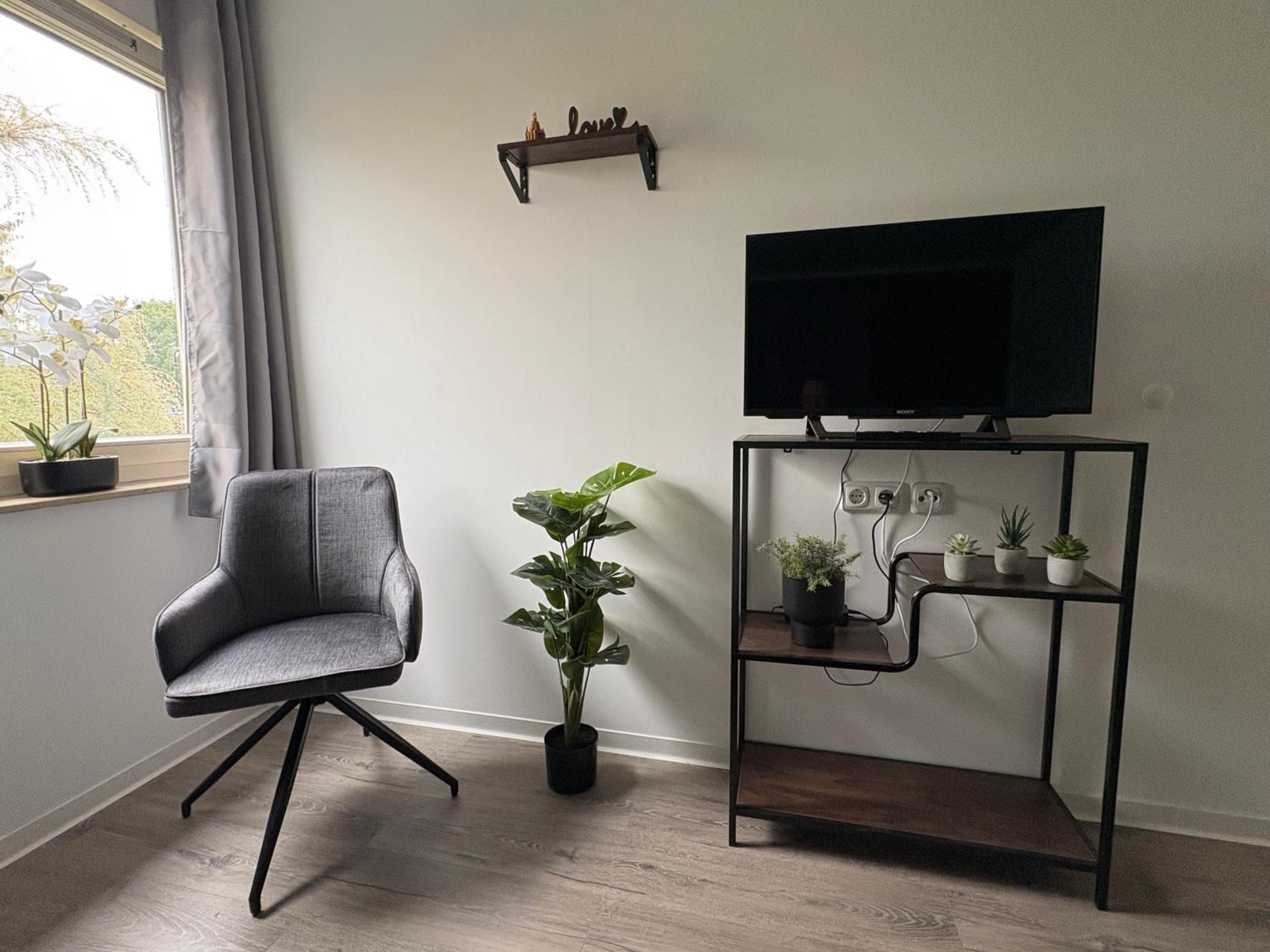 NEU Große und gemütliche Ferienwohnung in Dresden I Kamin I ruhige Sonnenterrasse I Parkplatz kostenfrei