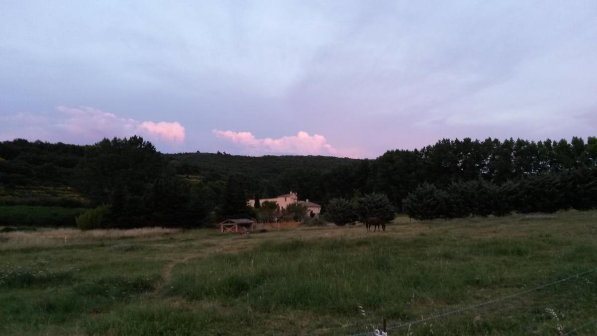 Chambres d'Hôtes Aux Tournesols view 5