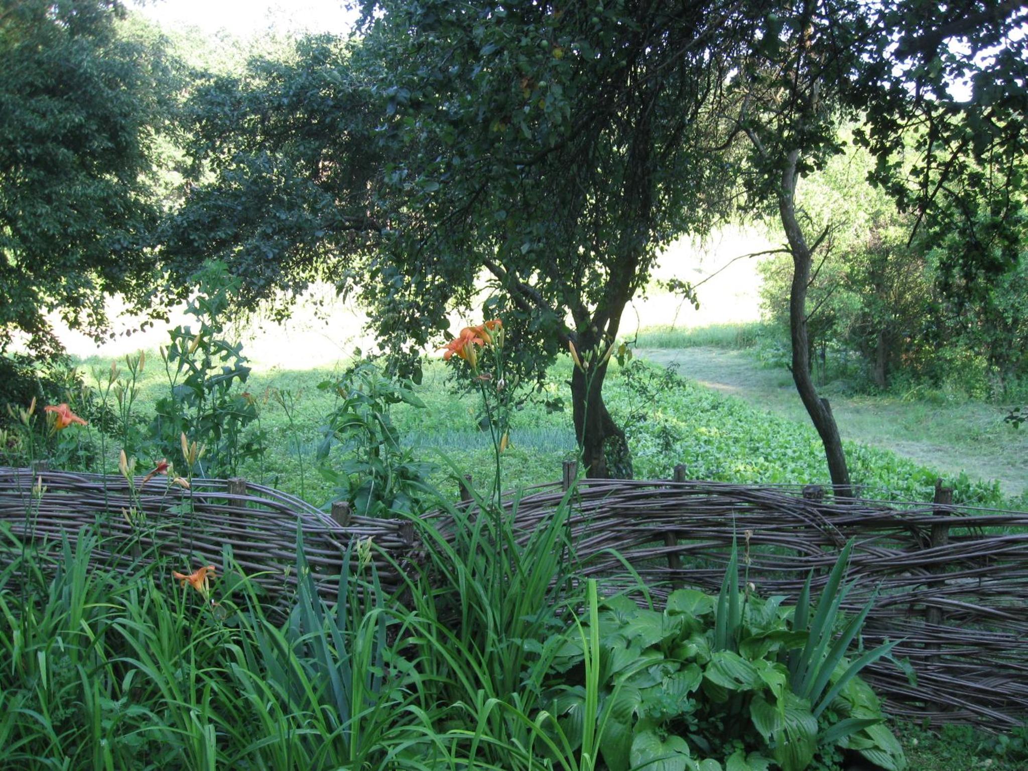 Photo 13
