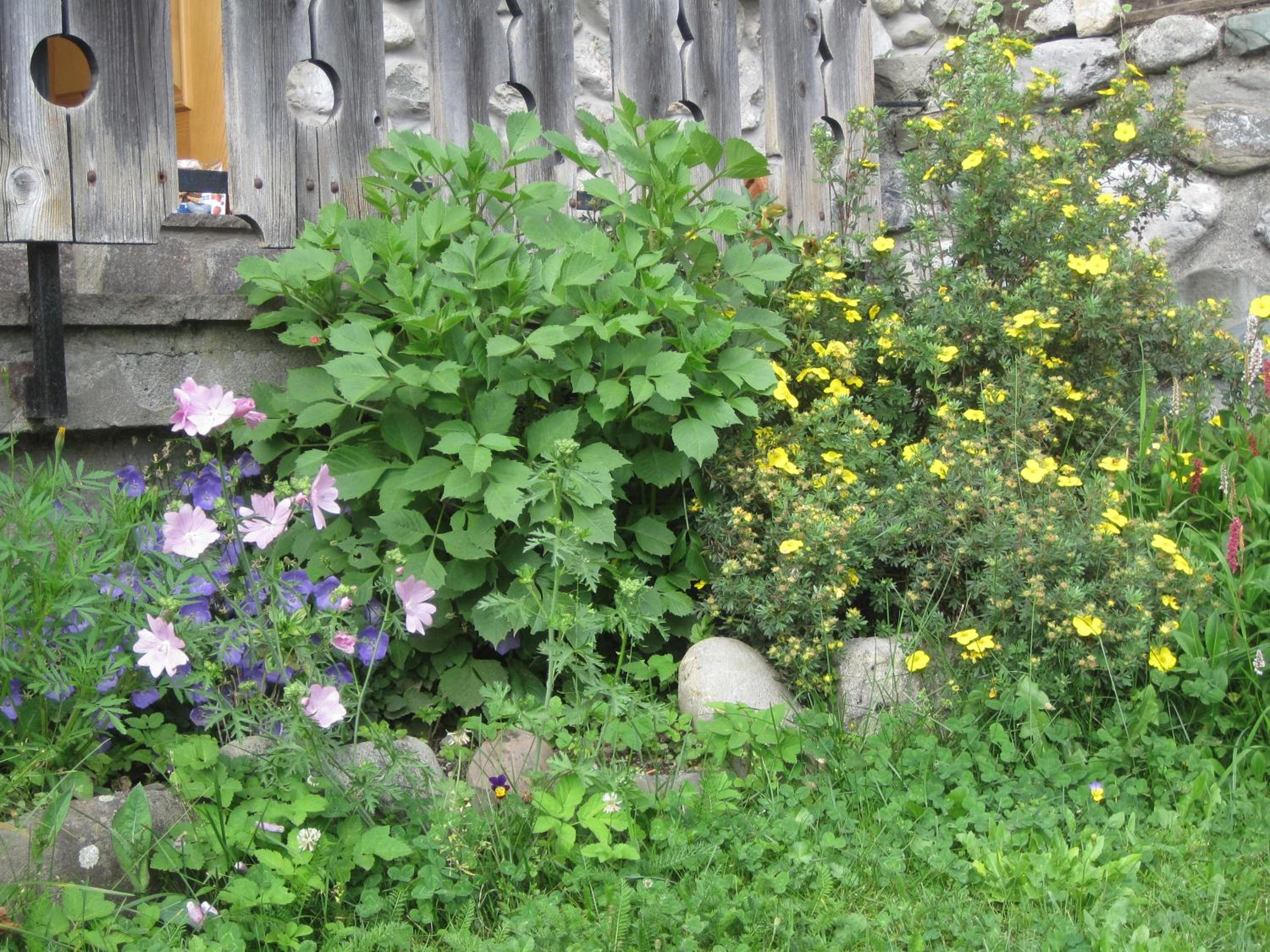 Photo 28