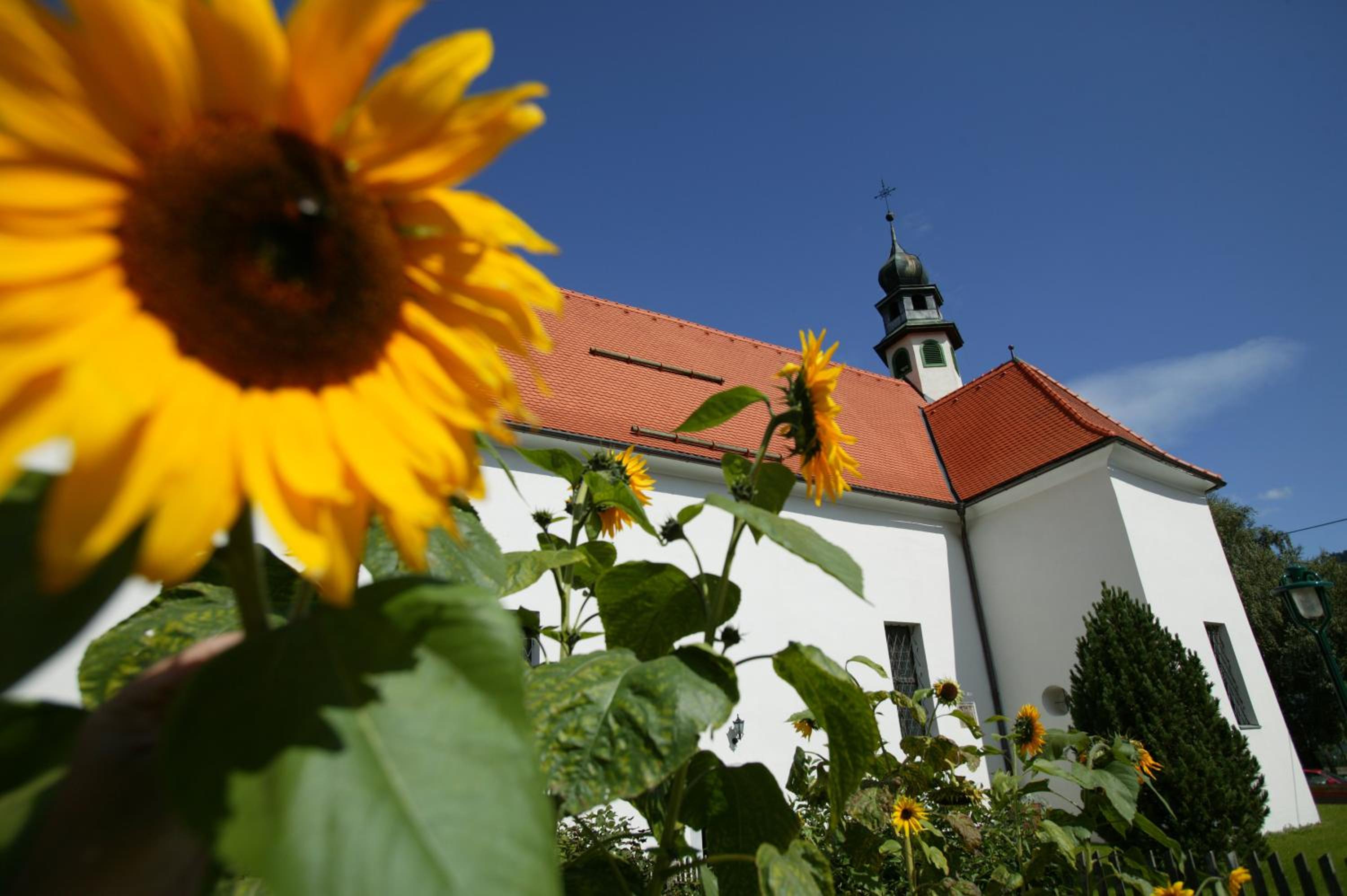 Gasthof Grillitsch Rösslwirt