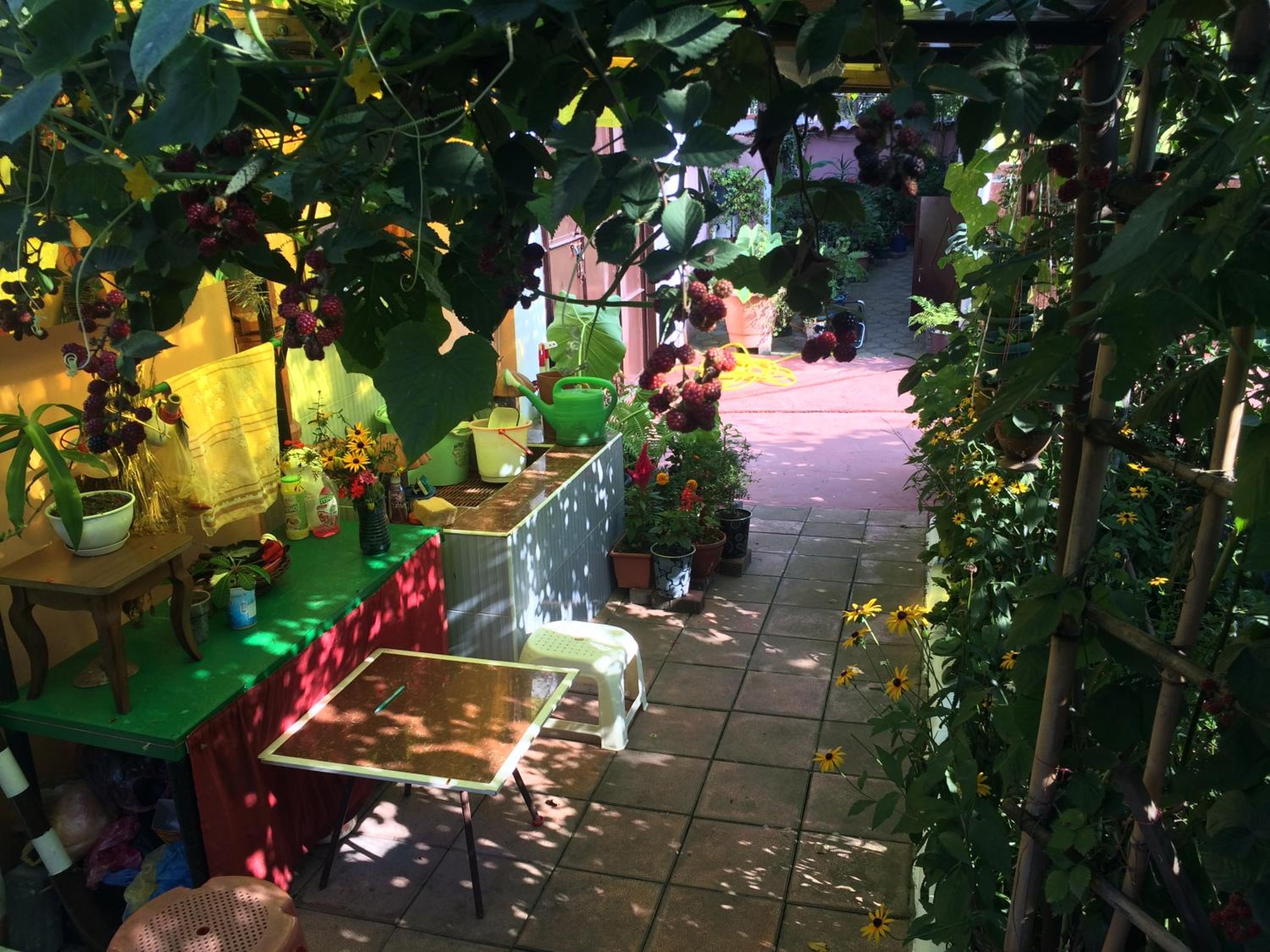 Photo 48
