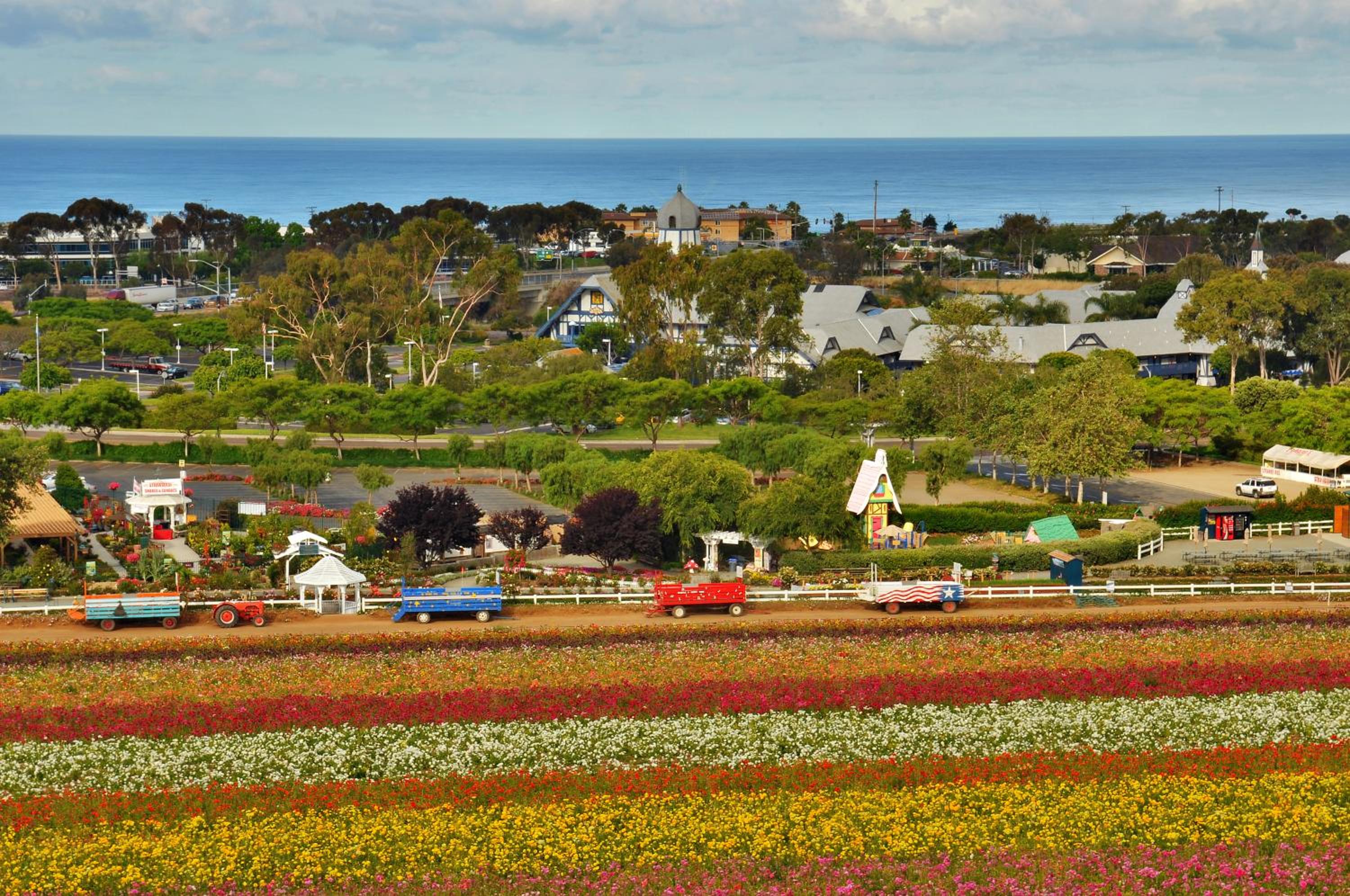 Grand Pacific Palisades Resort