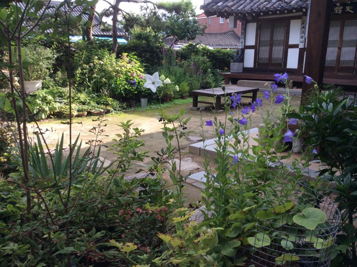 Yangsajae view 5