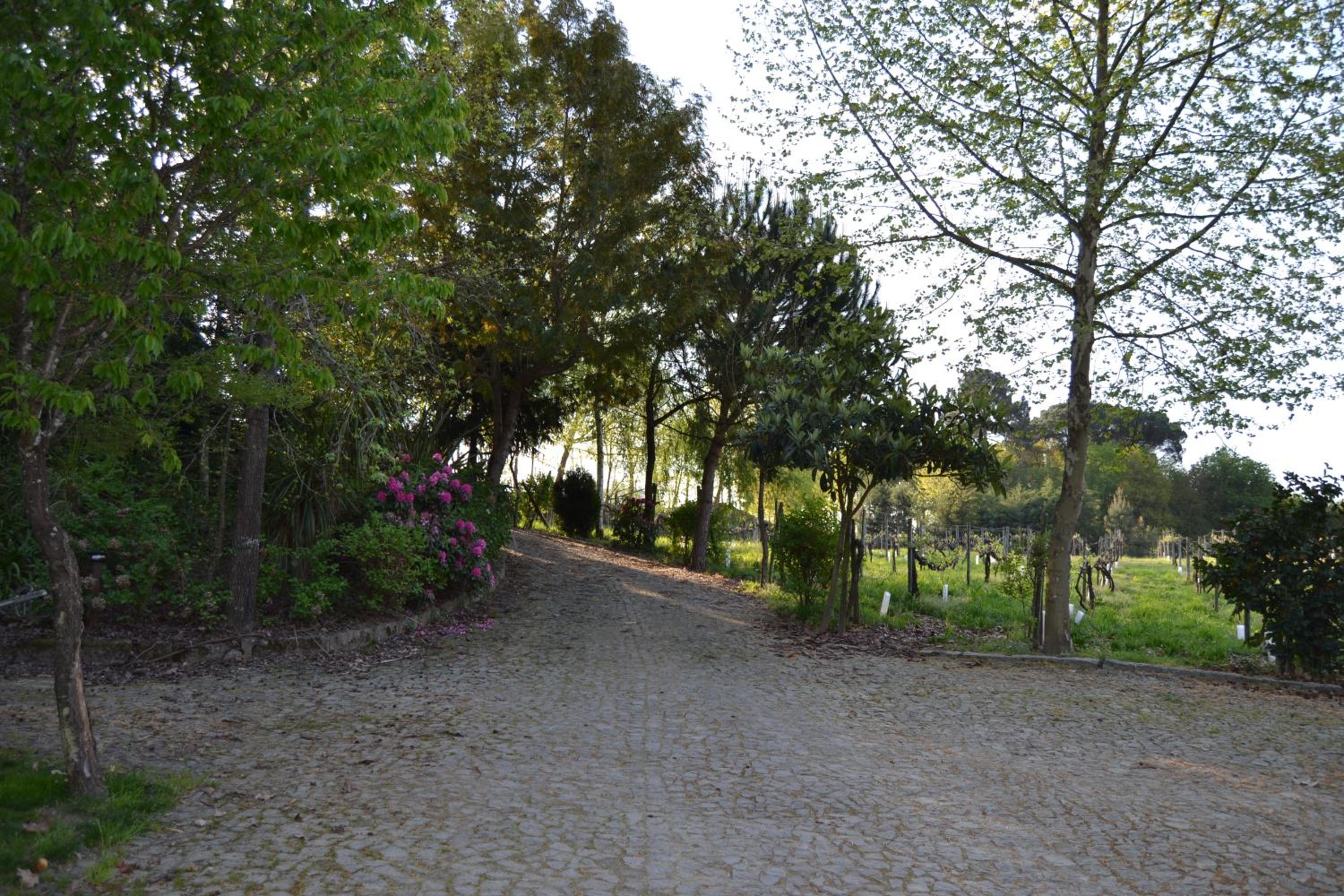 Quinta do Mosteiro