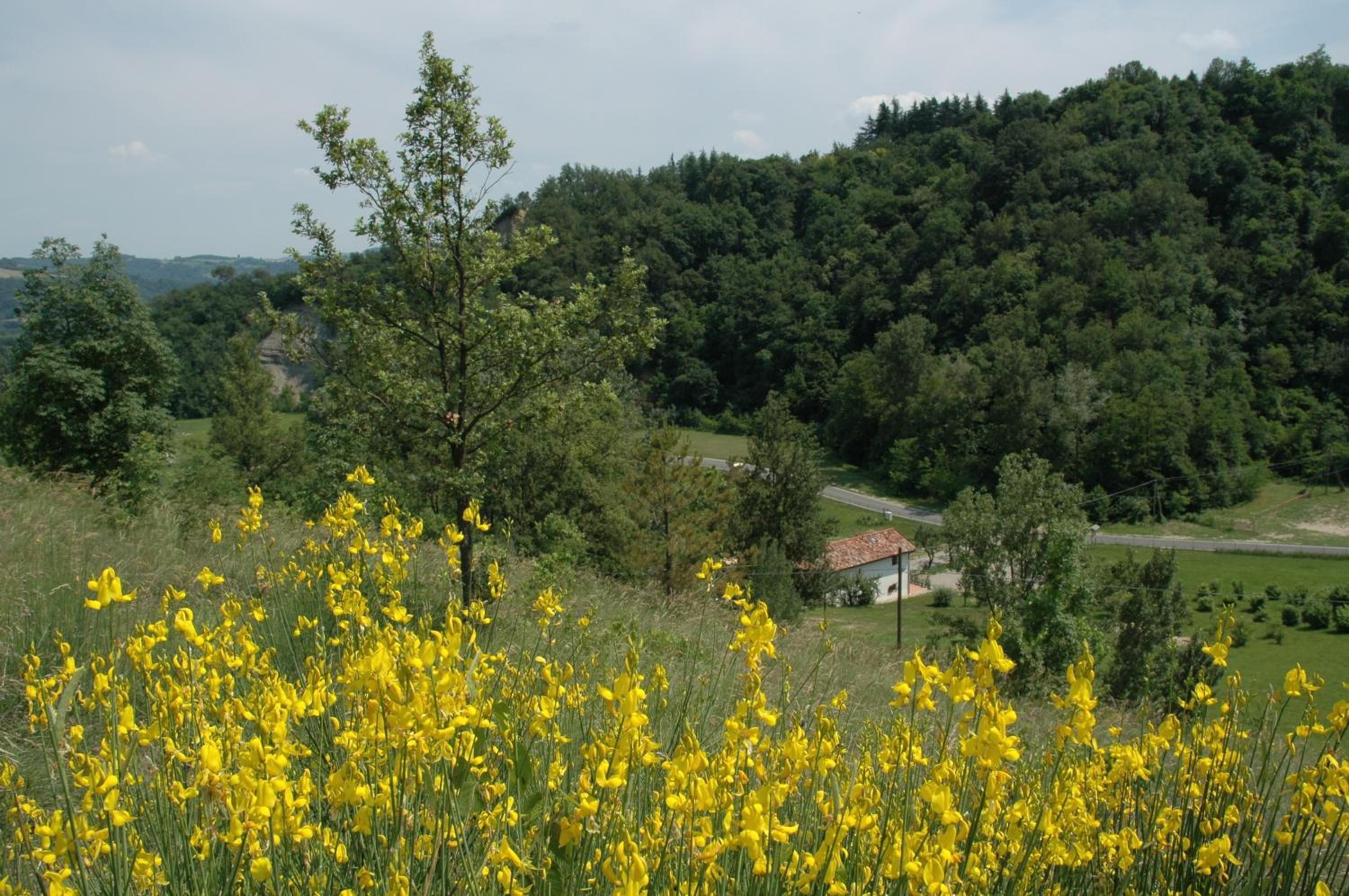 Photo 41