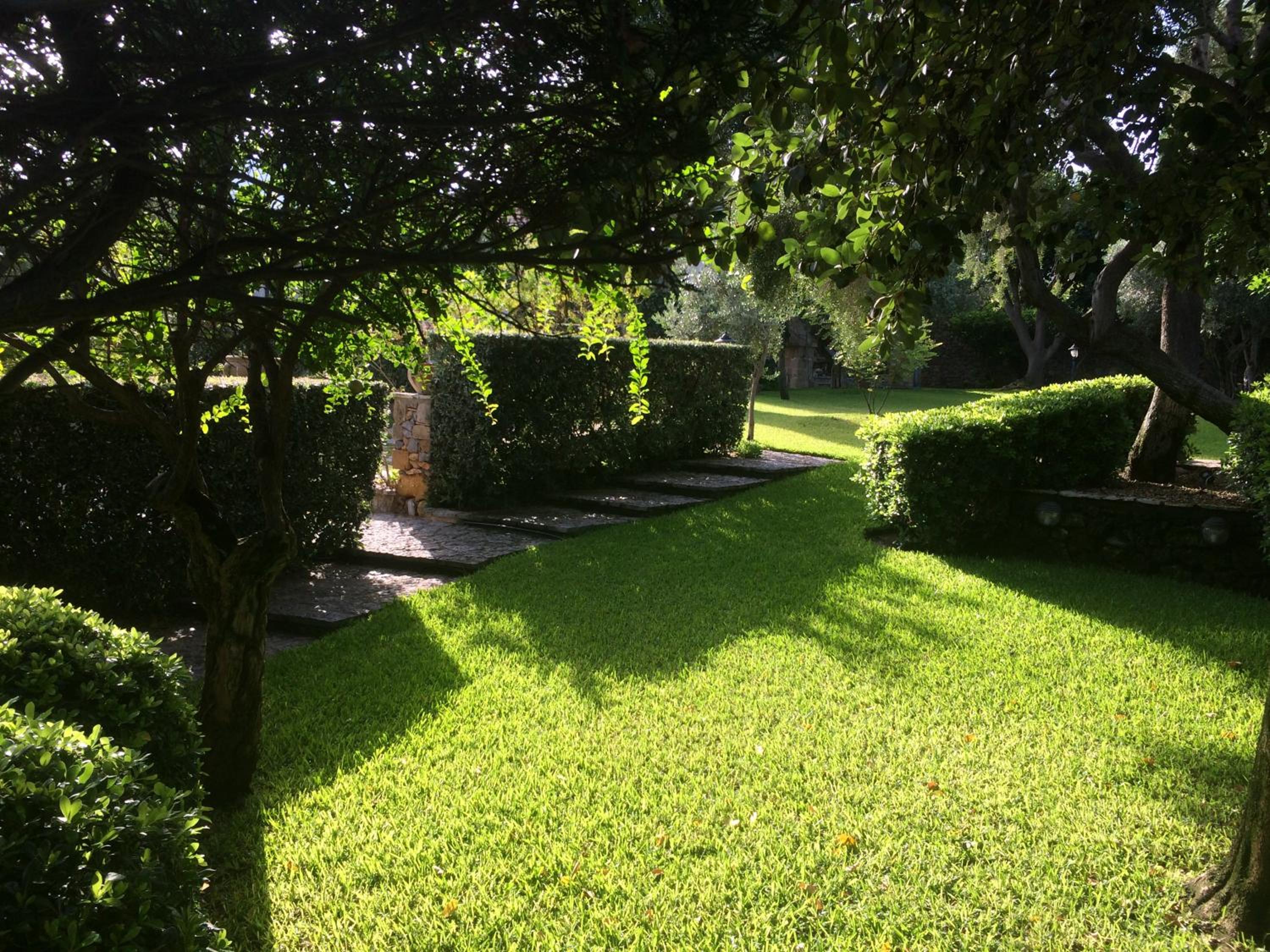 Photo 44