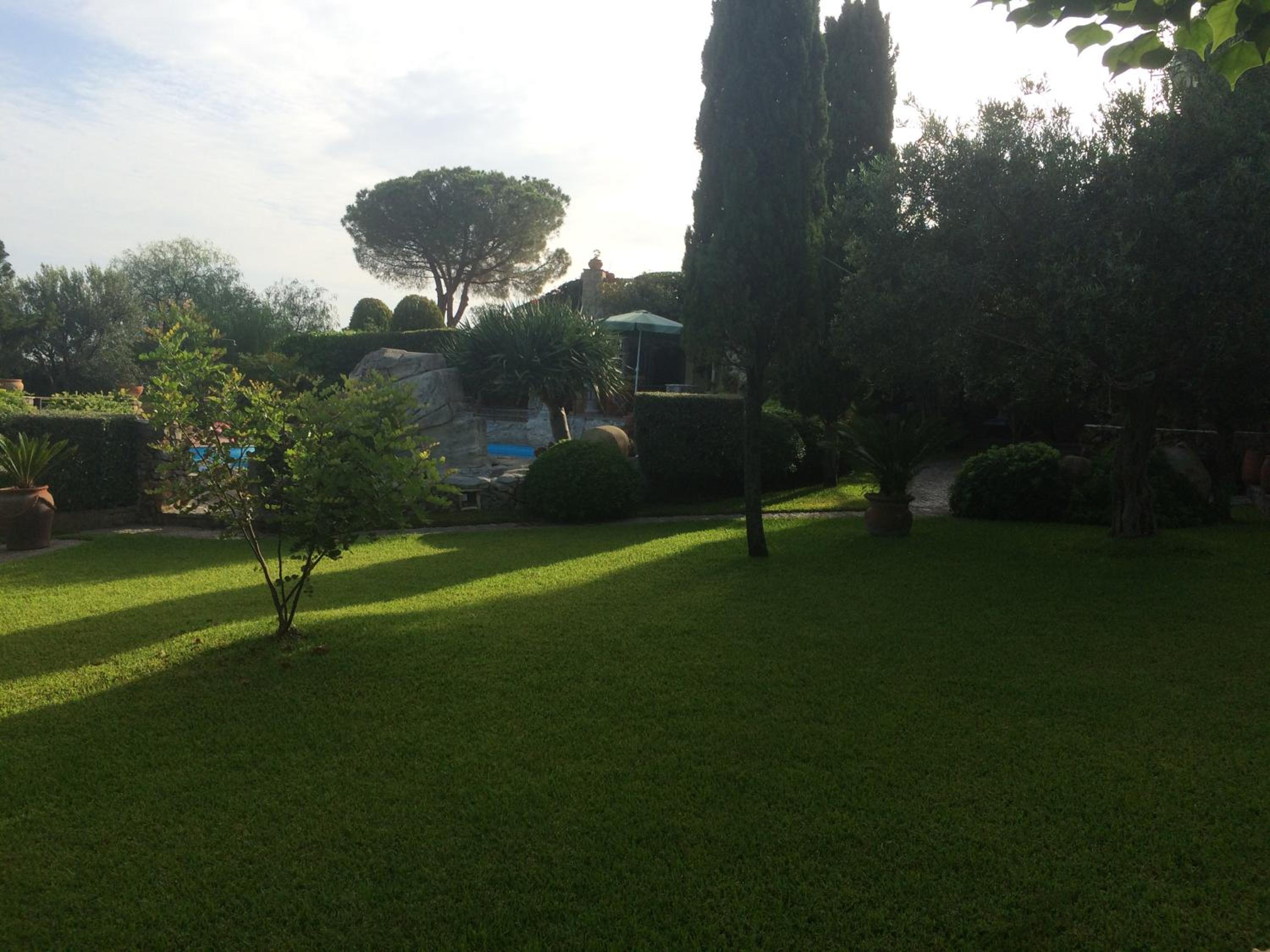 Photo 46