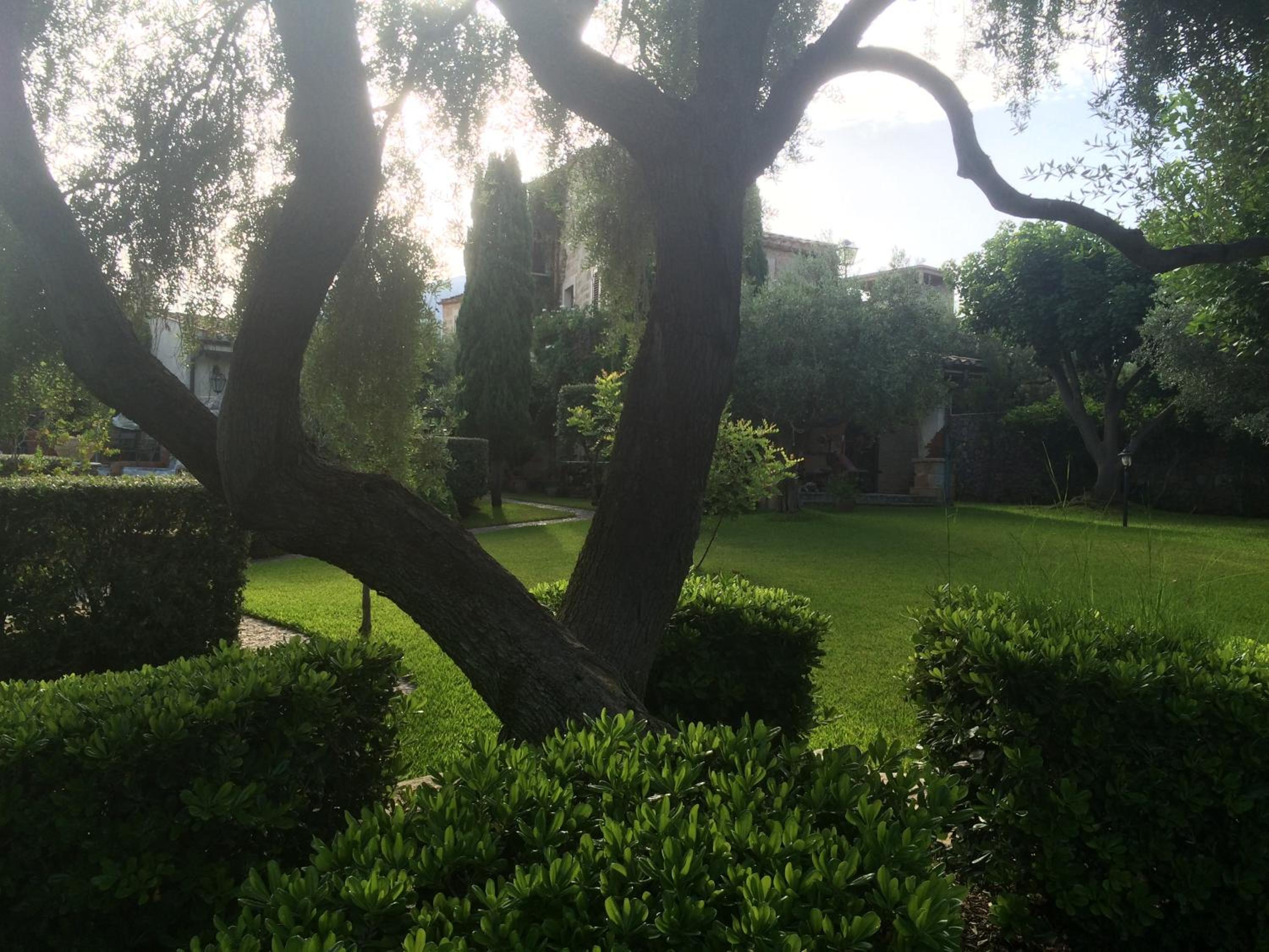 Photo 36