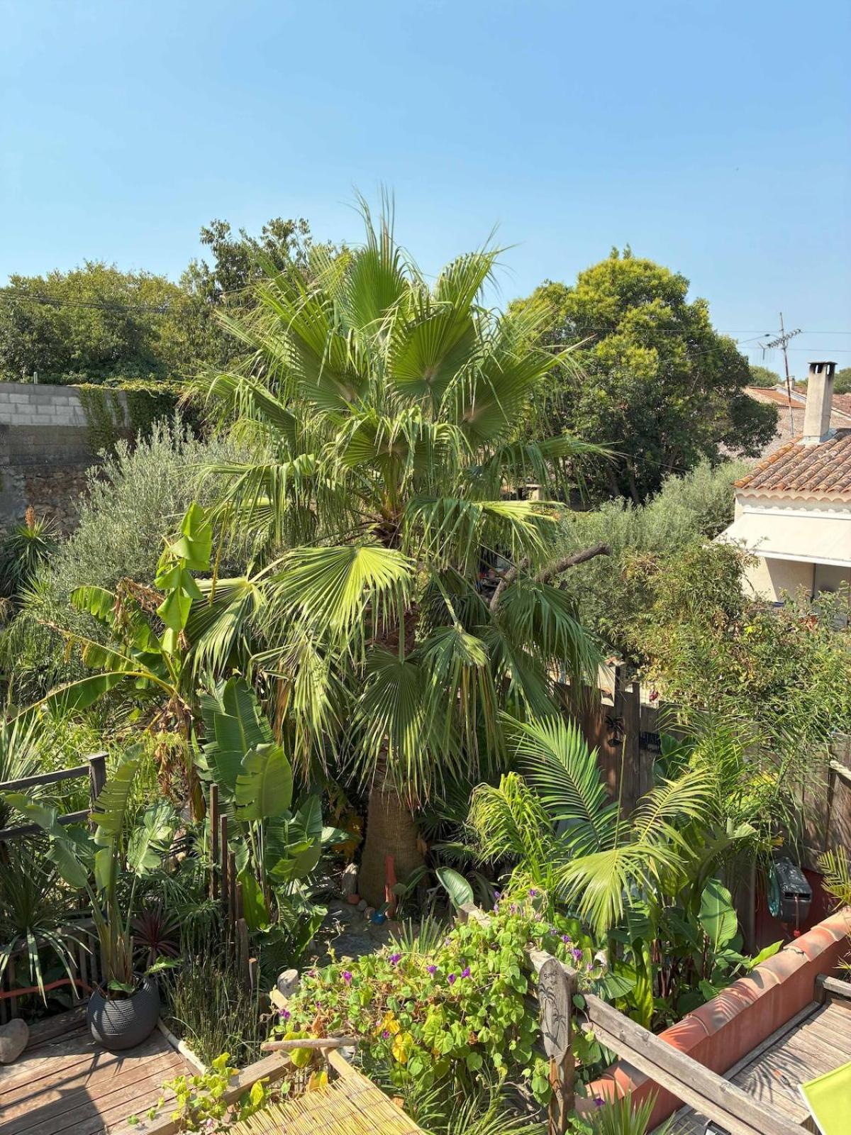 Maison cosy proche centre Arles - jusqu'à 8 personnes