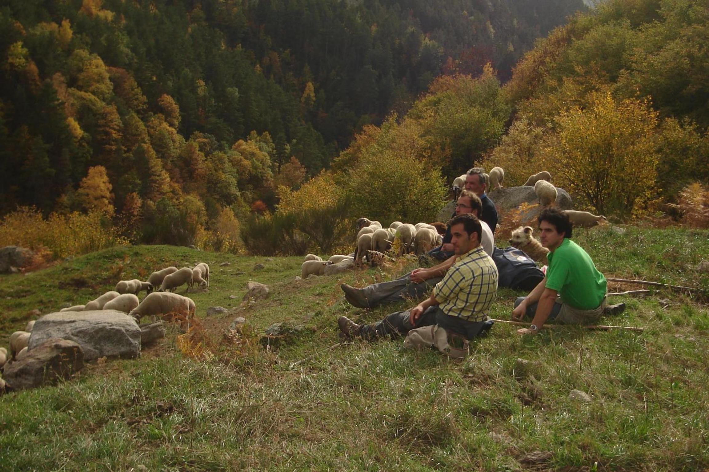 Photo 11