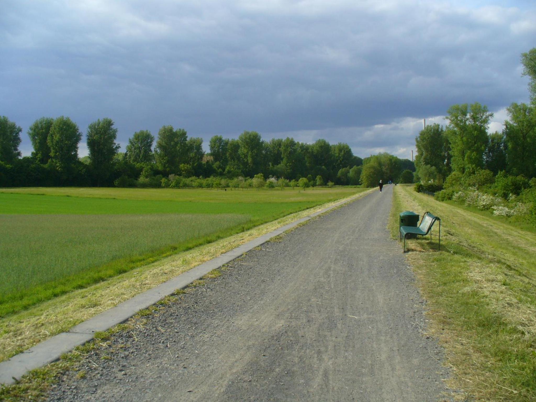 Ferienwohnung Rheinaue